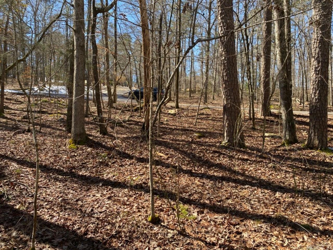 Lot 8  Gancho  Hot Springs Village, AR