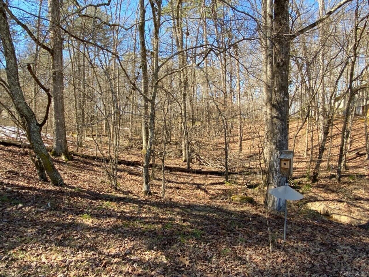 Lot 8  Gancho  Hot Springs Village, AR