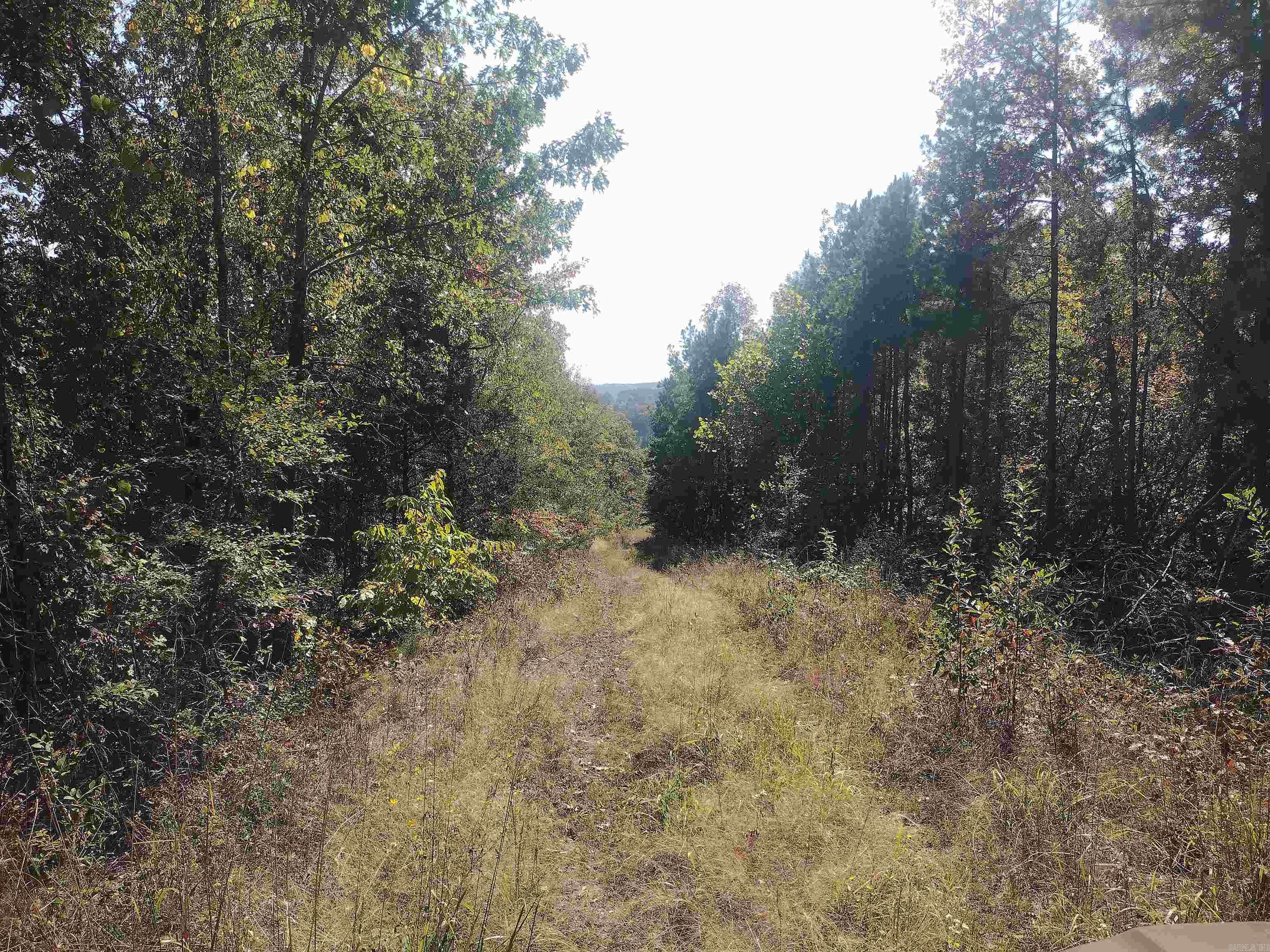 000 E Hwy 16  Clinton, AR