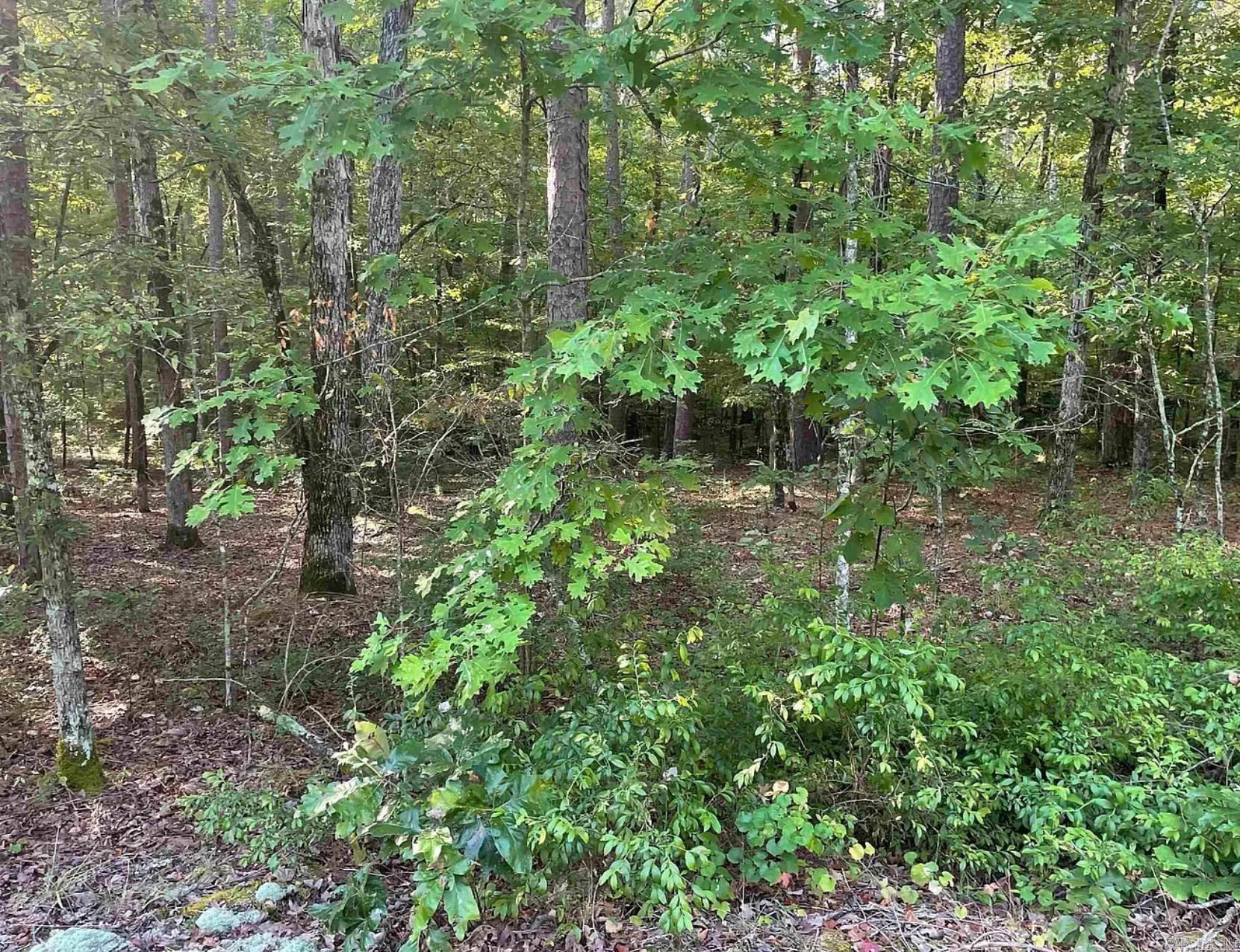 001  Buque Ln Block 1 LOT 30 Hot Springs Village, AR