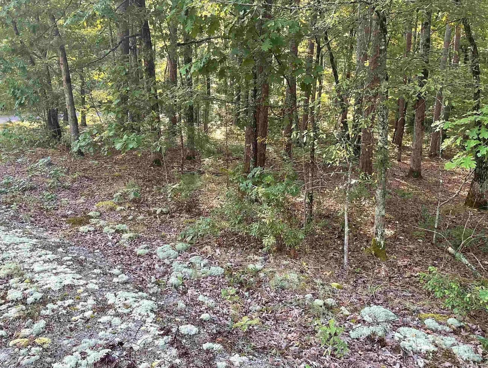 001  Buque Ln Block 1 LOT 30 Hot Springs Village, AR