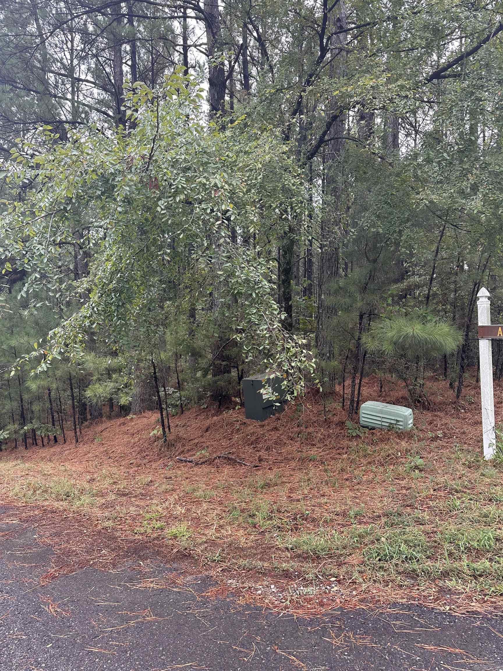 19  Pizarro  Hot Springs Village, AR