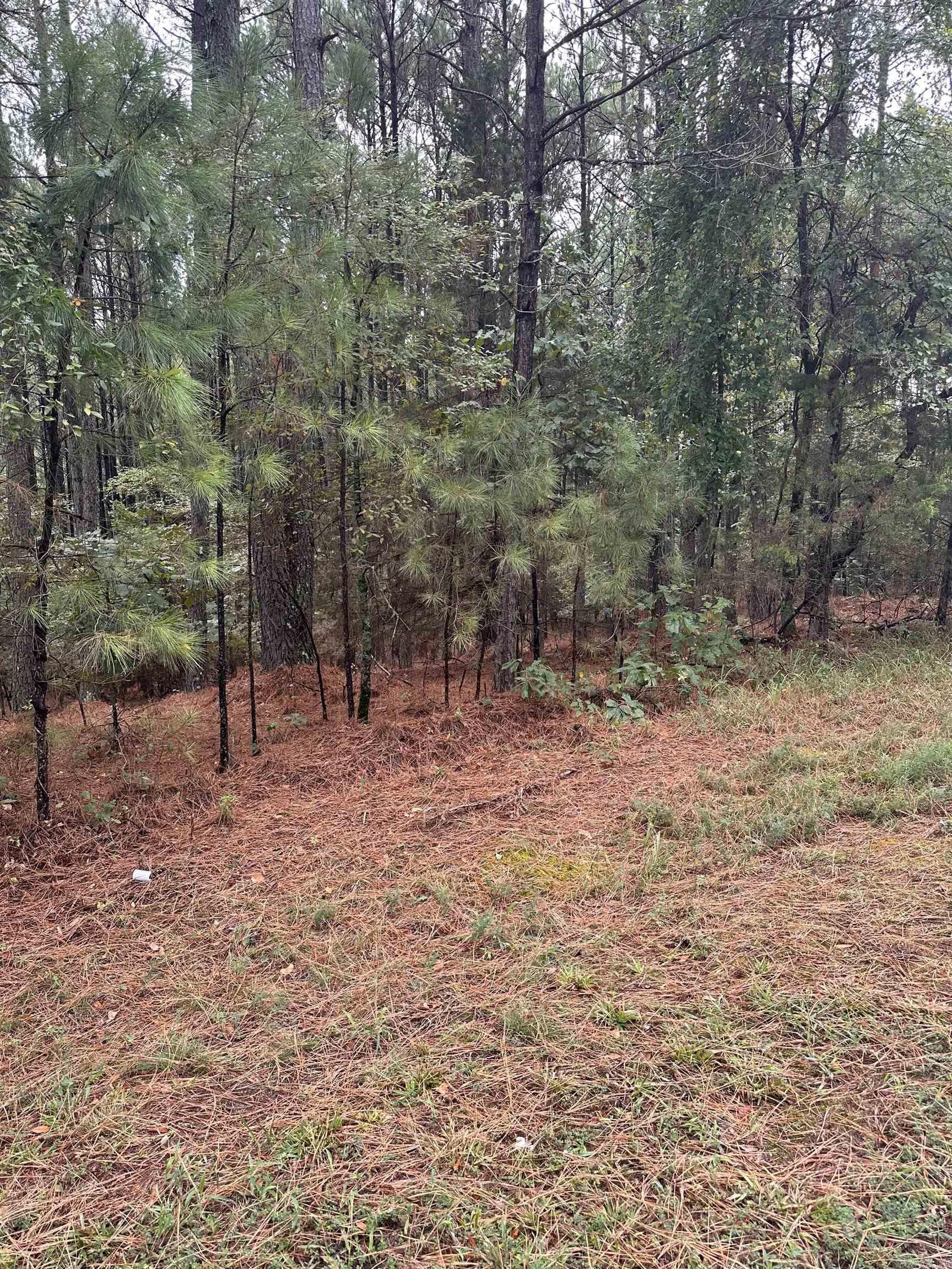 19  Pizarro  Hot Springs Village, AR