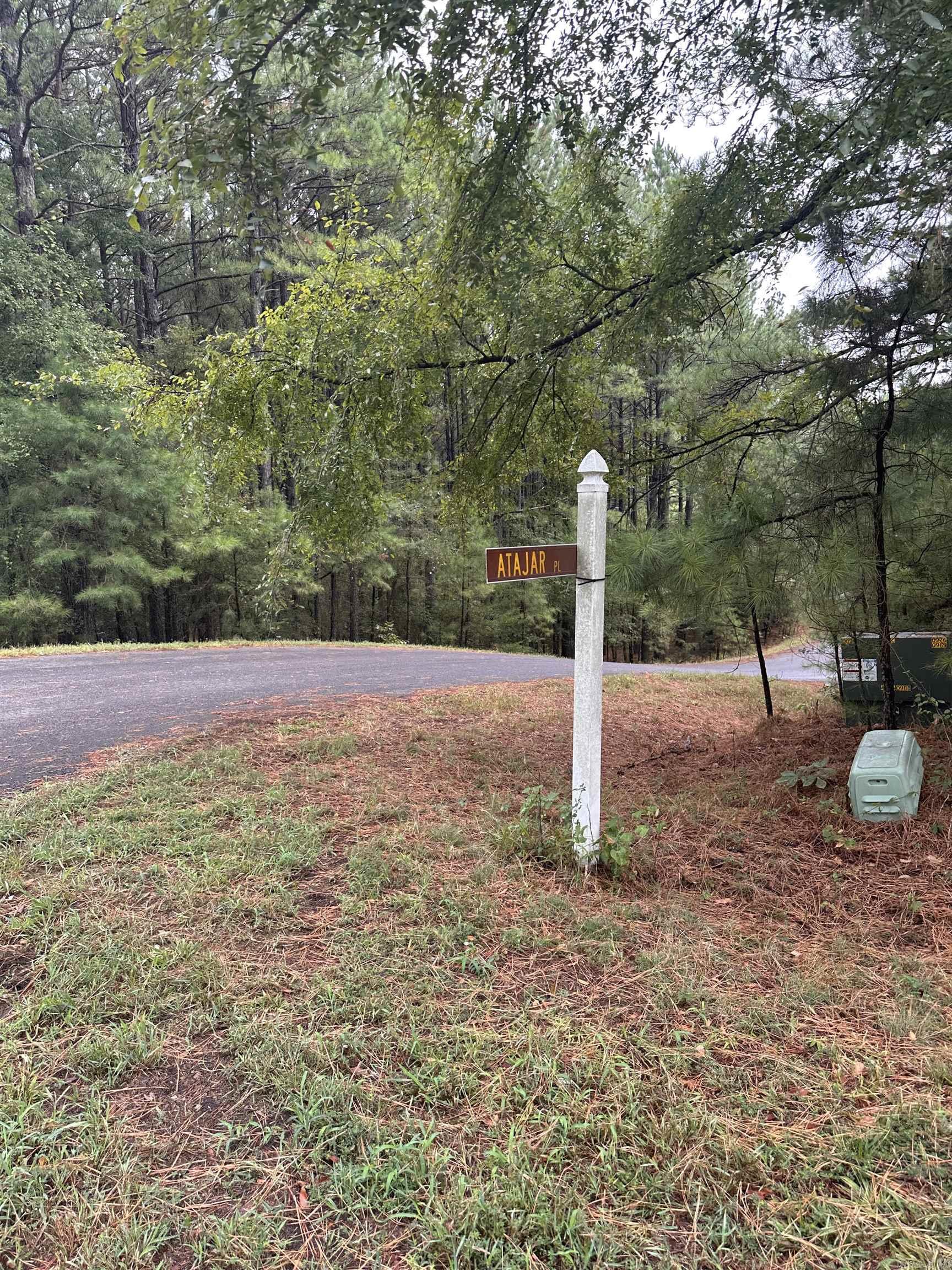 19  Pizarro  Hot Springs Village, AR