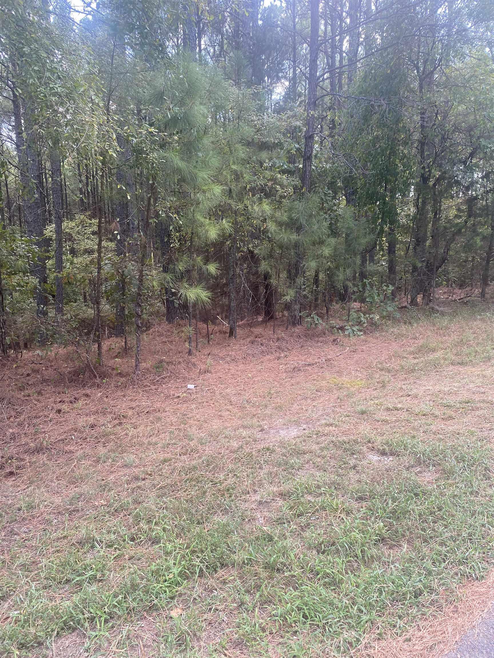 19  Pizarro  Hot Springs Village, AR