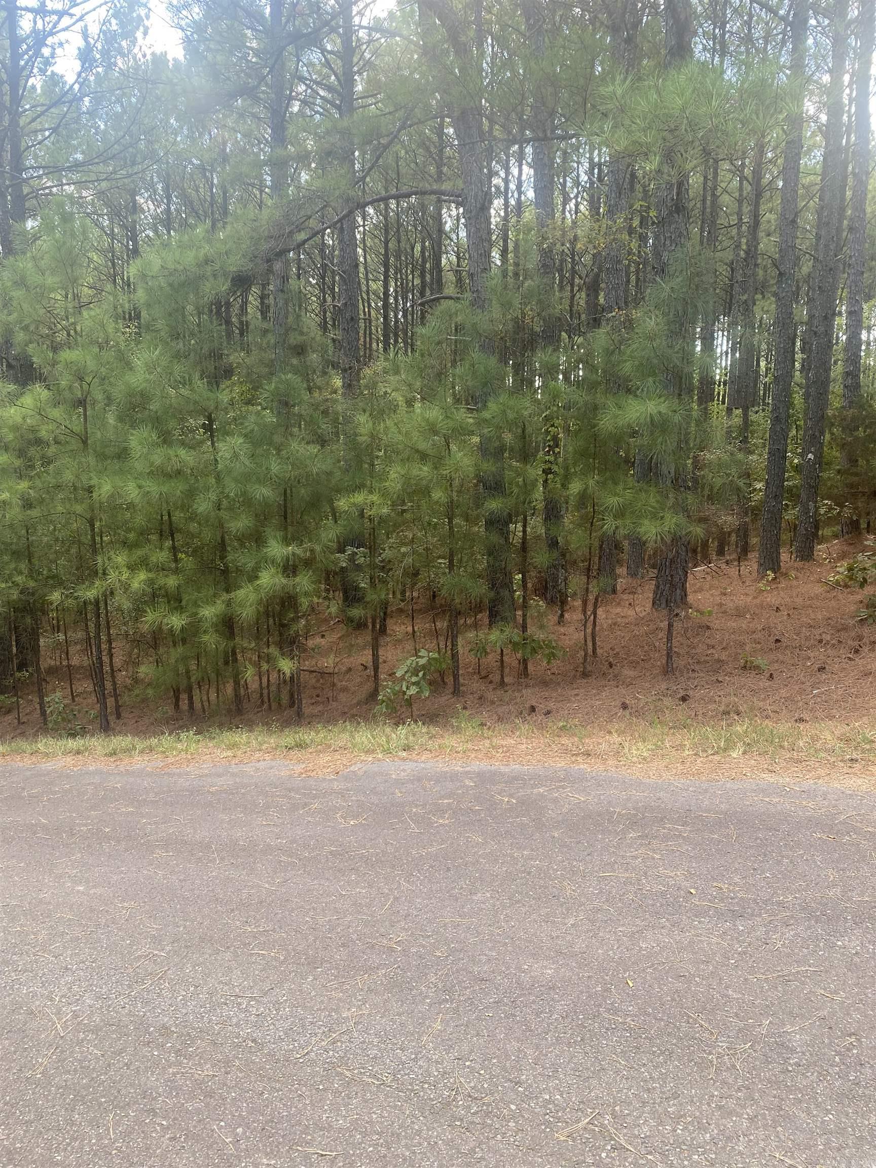 19  Pizarro  Hot Springs Village, AR