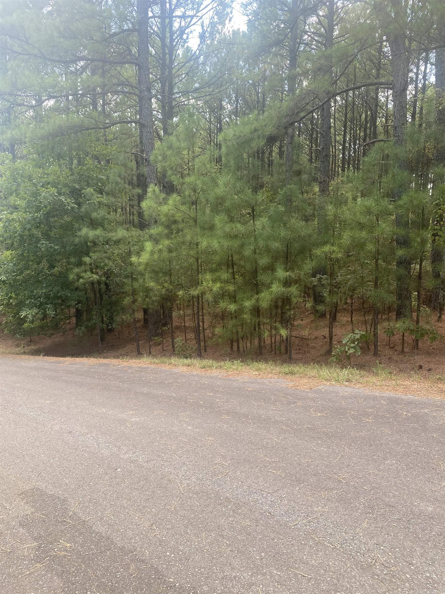 19  Pizarro  Hot Springs Village, AR