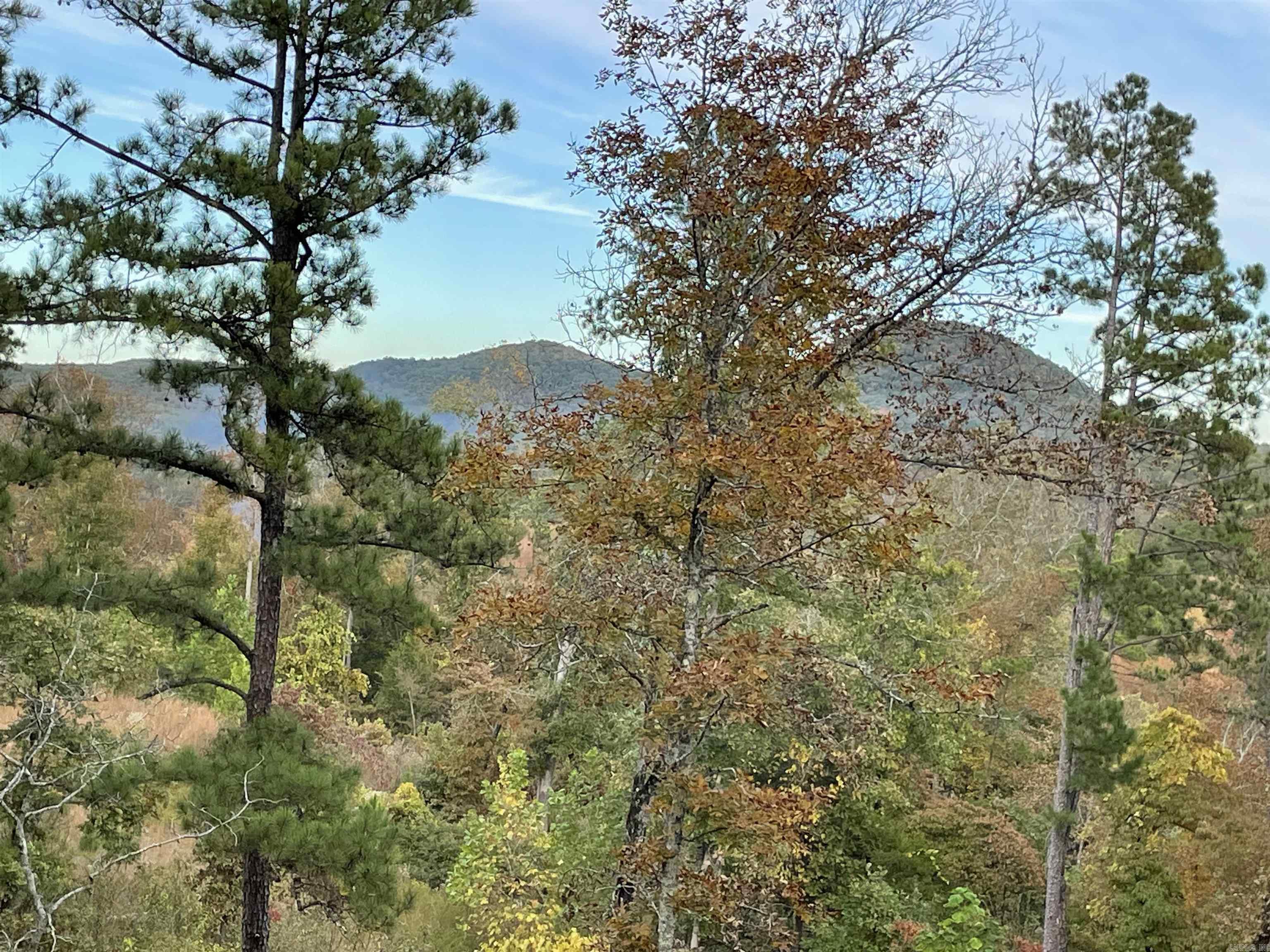 850  Jones Cemetery Road  Calico Rock, AR