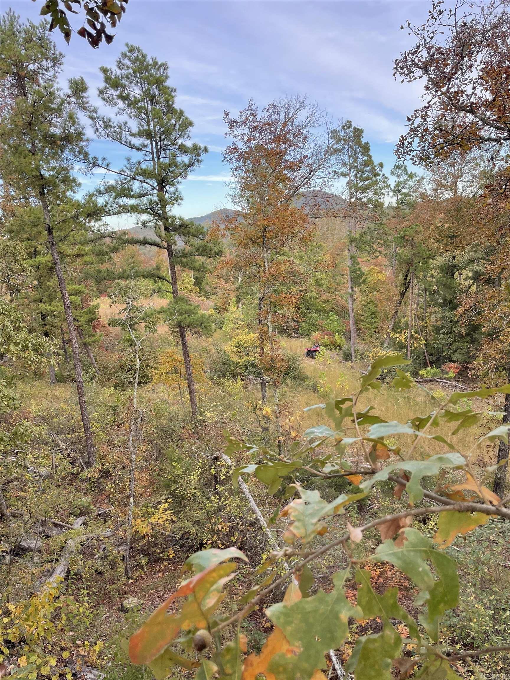 850  Jones Cemetery Road  Calico Rock, AR