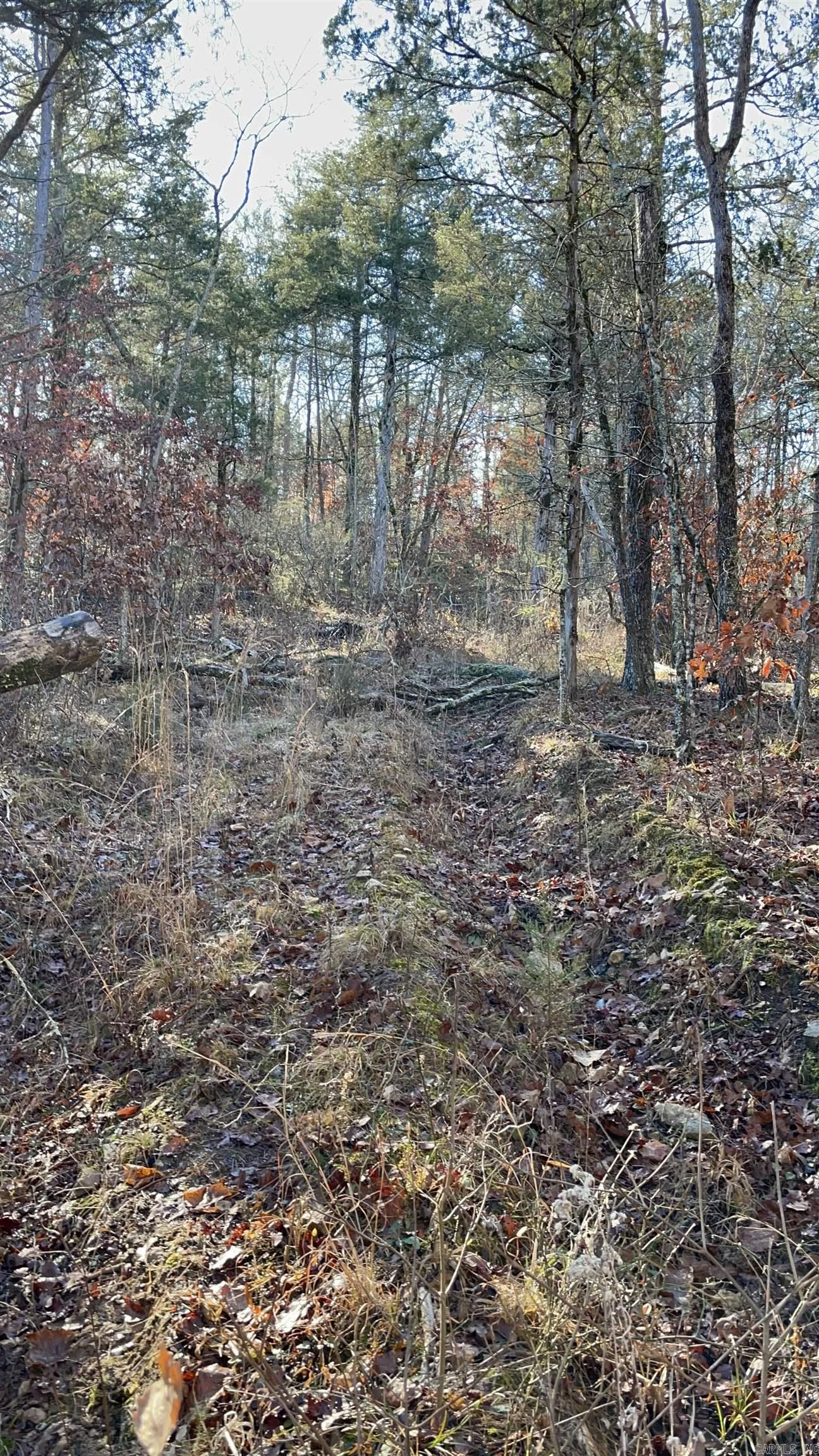 850  Jones Cemetery Road  Calico Rock, AR
