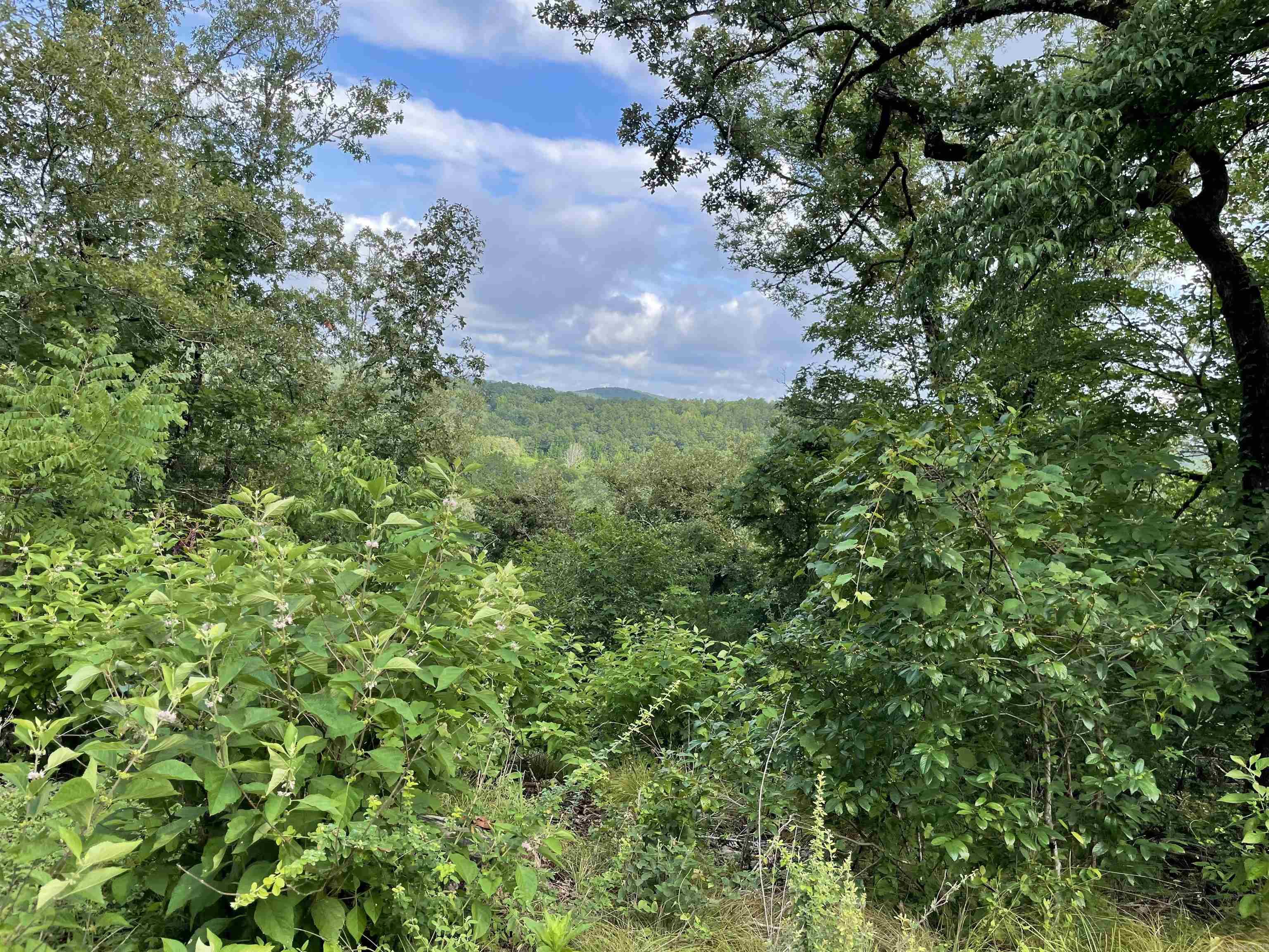 850  Jones Cemetery Road  Calico Rock, AR
