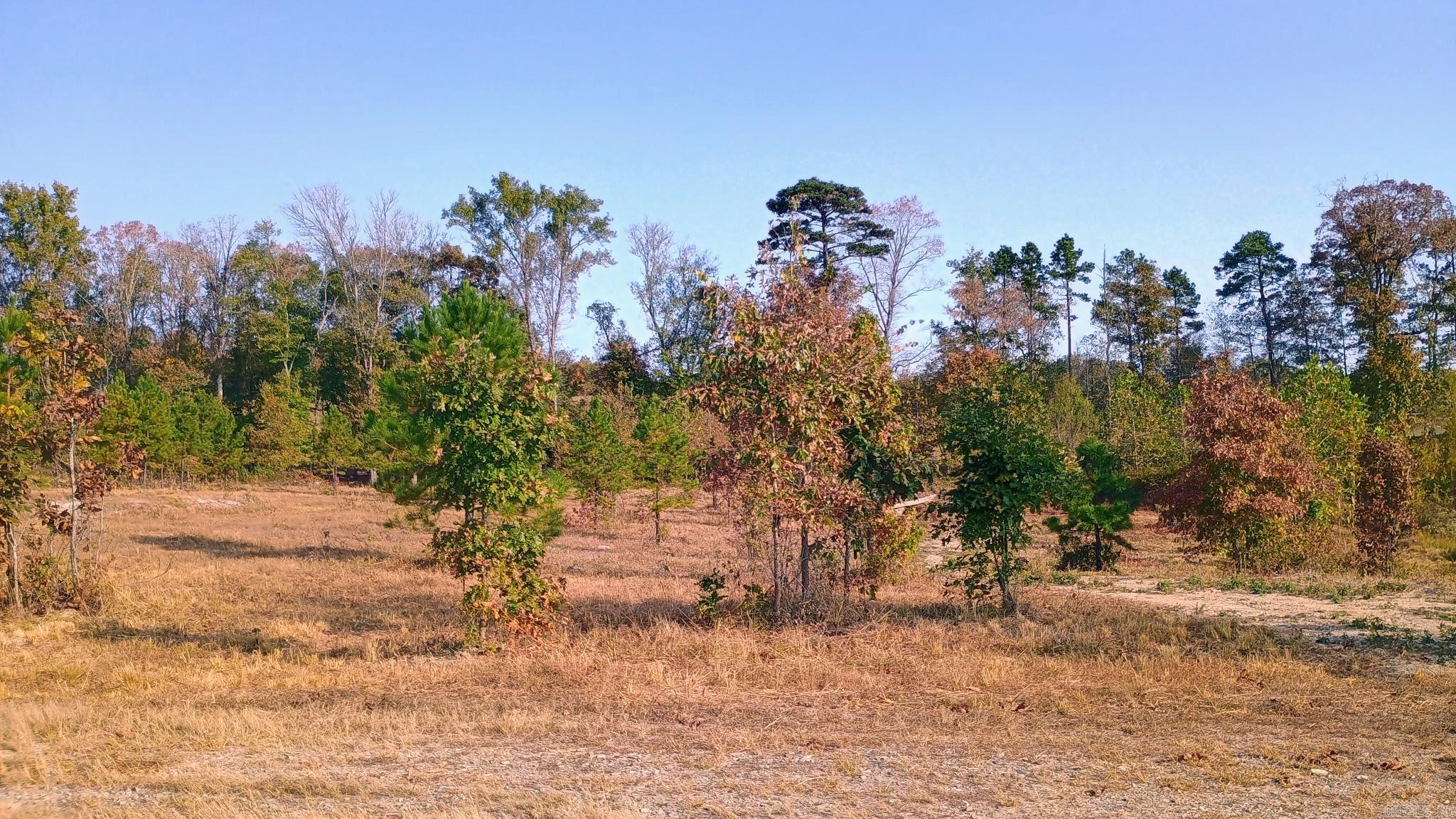 Lot 3  Many Fish Tr.  Hot Springs, AR
