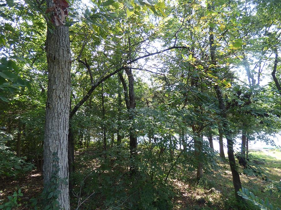  E Lakeshore  Cherokee Village, AR