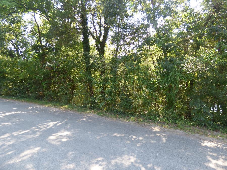  E Lakeshore  Cherokee Village, AR