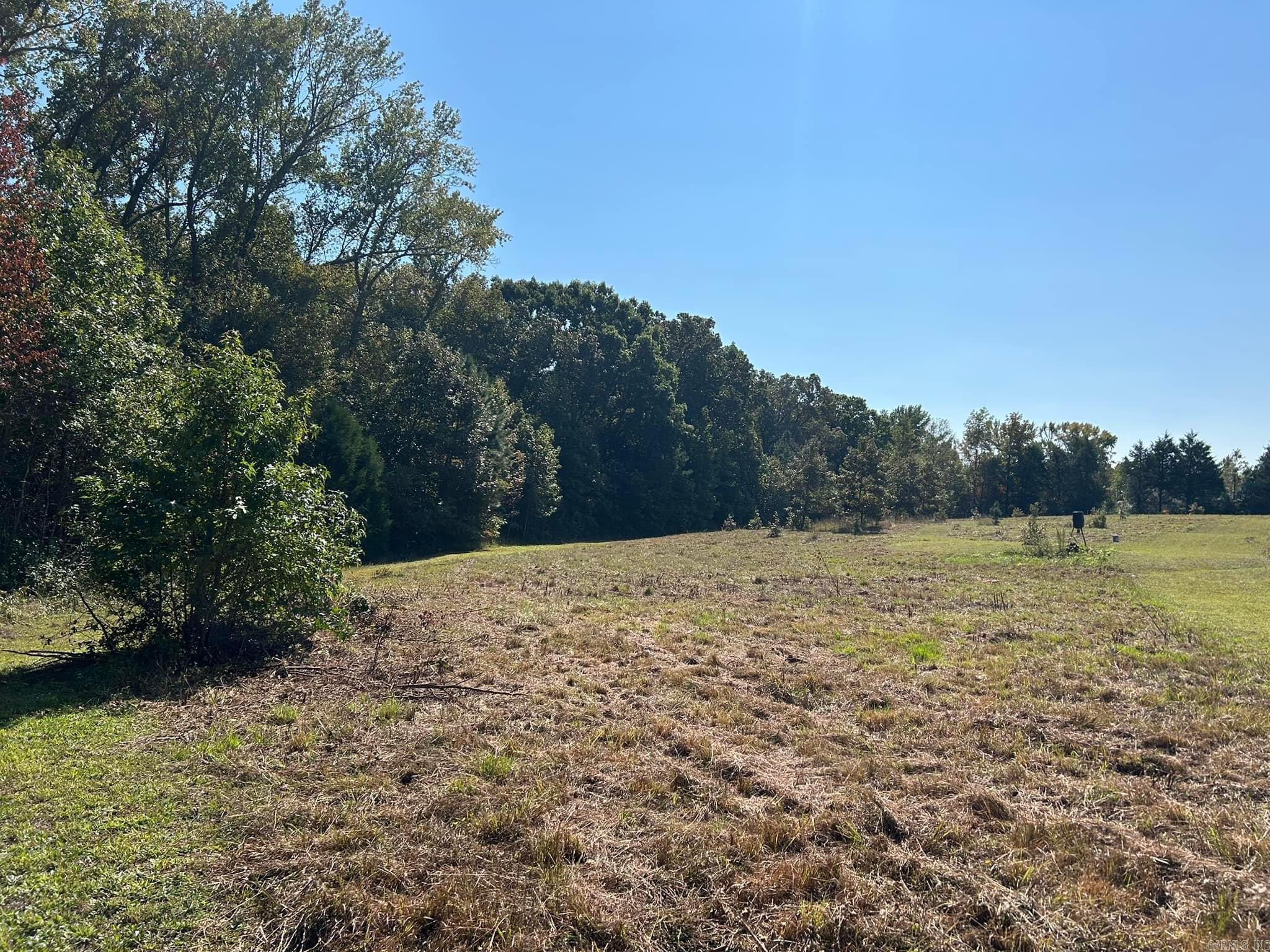 444 W Pleasant Springs  Quitman, AR