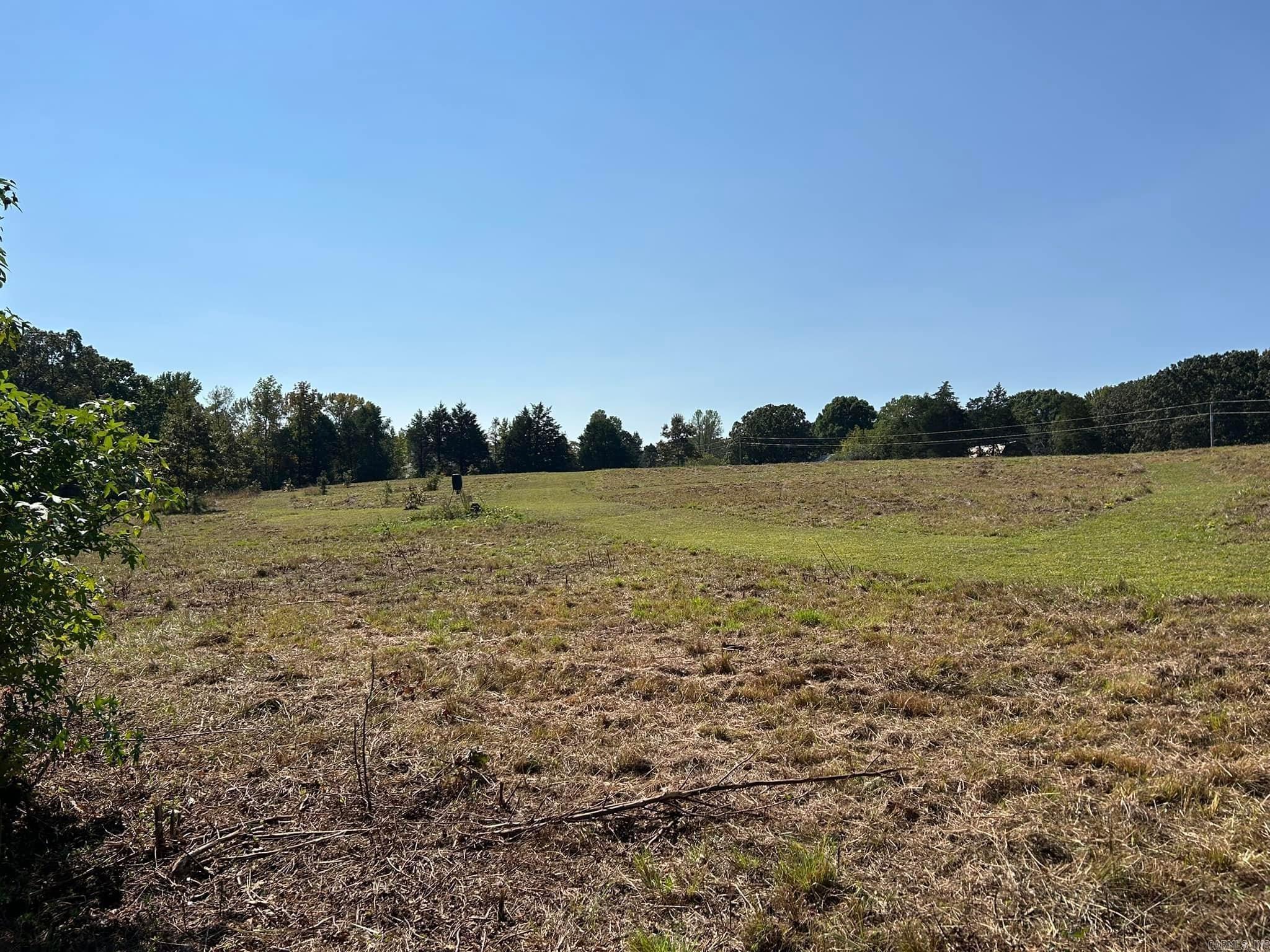 444 W Pleasant Springs  Quitman, AR