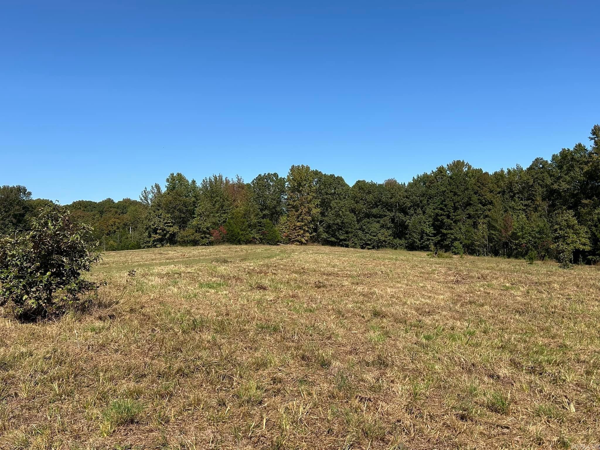 444 W Pleasant Springs  Quitman, AR