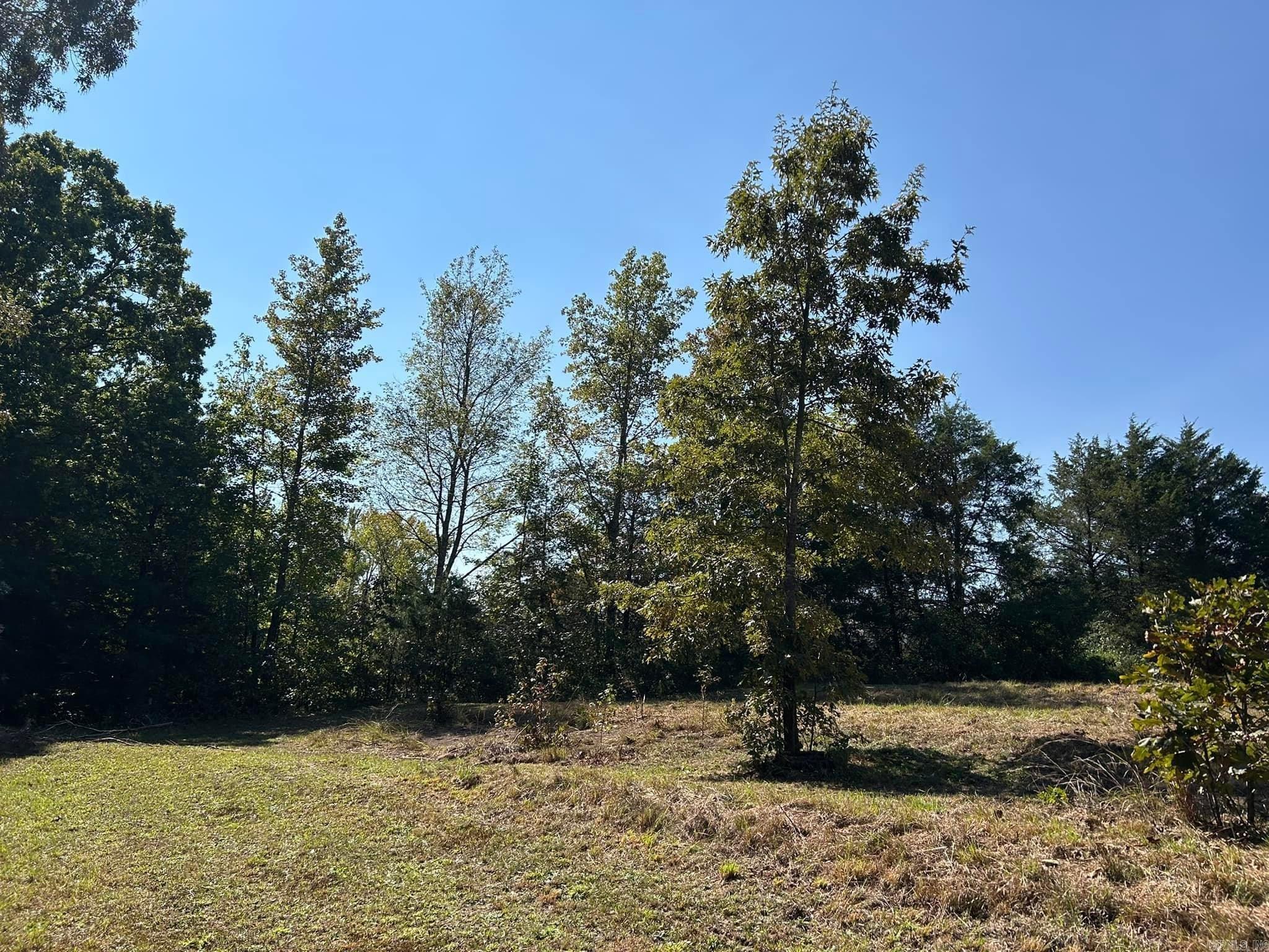 444 W Pleasant Springs  Quitman, AR