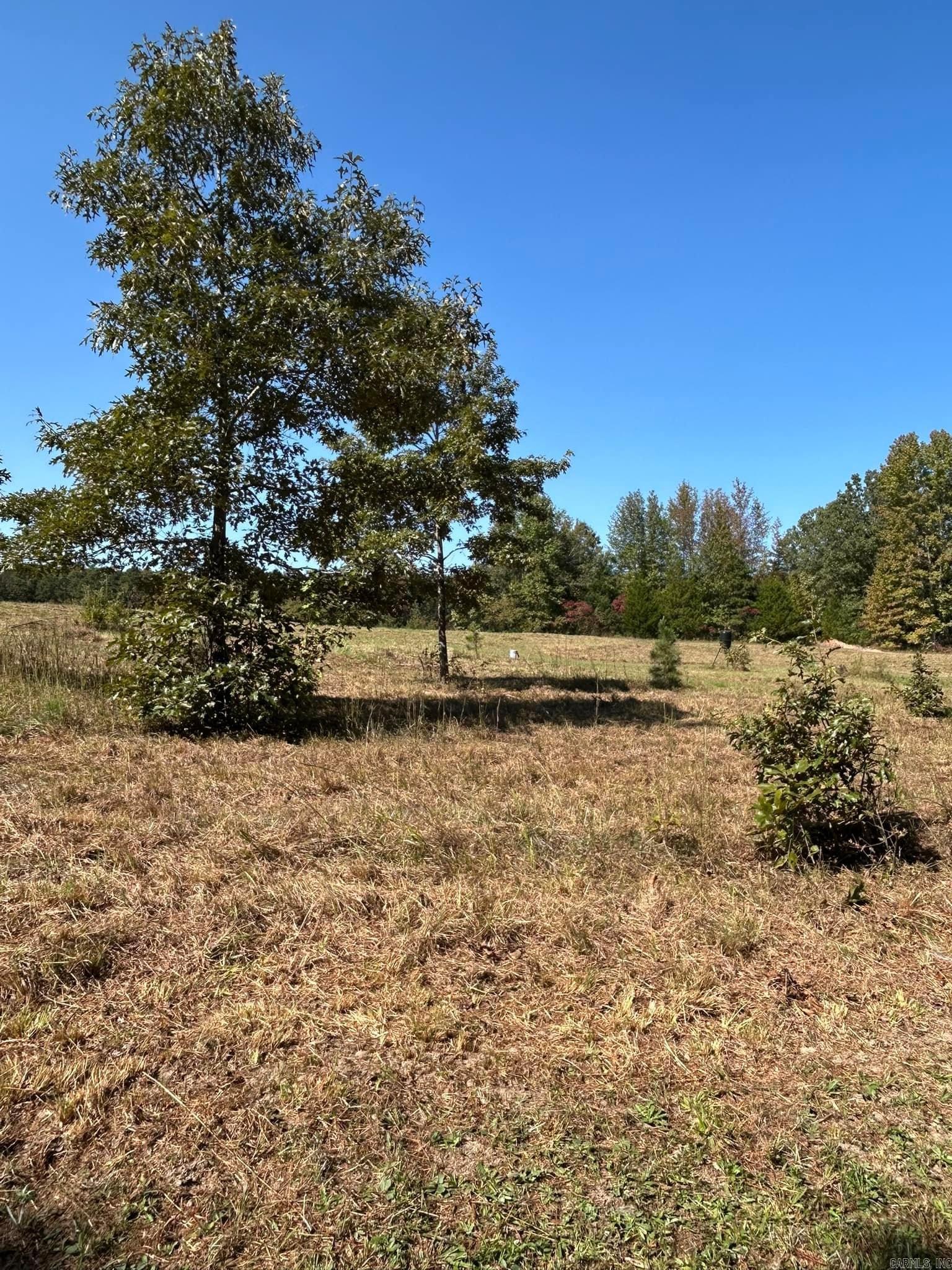 444 W Pleasant Springs  Quitman, AR
