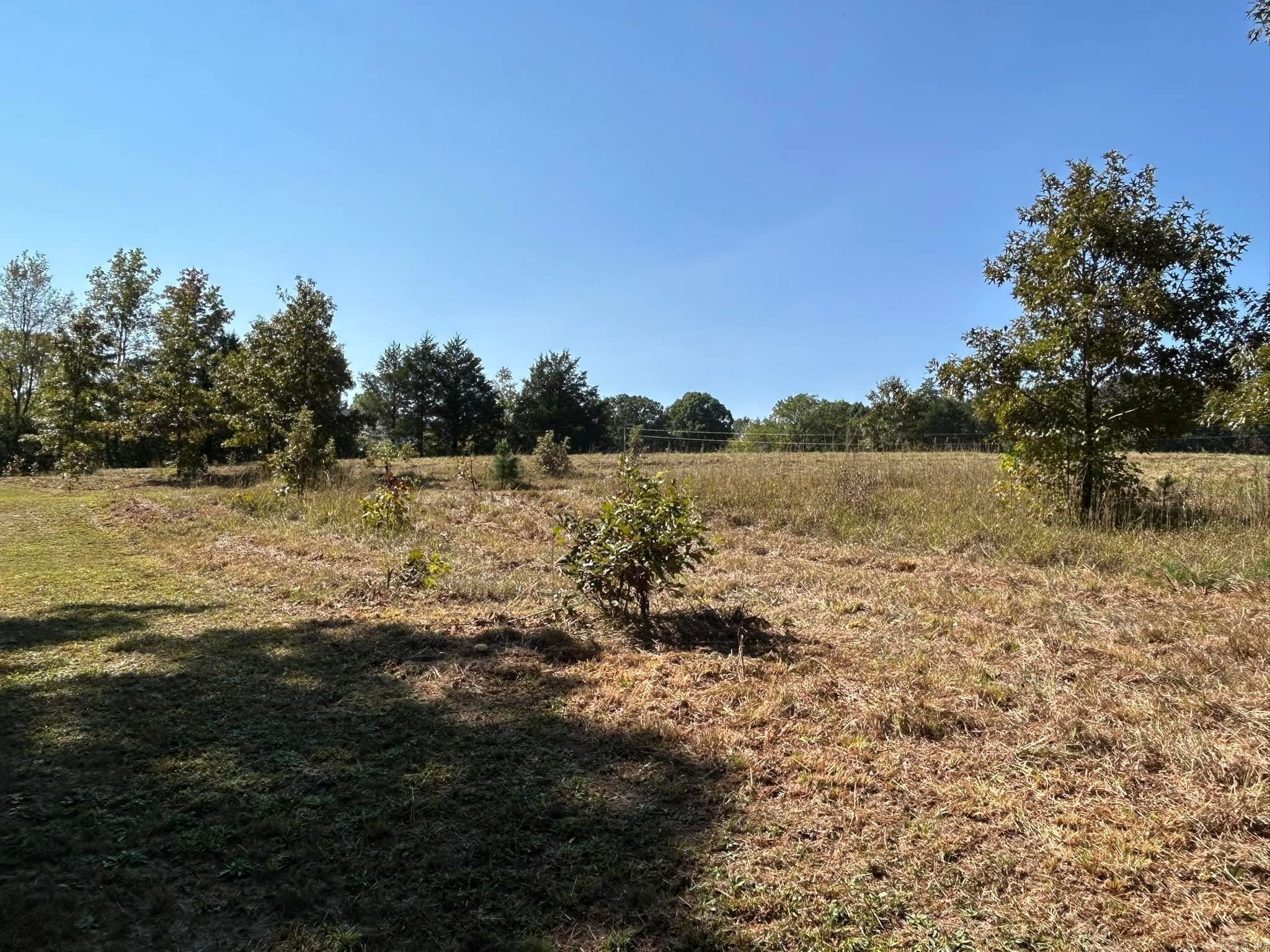 444 W Pleasant Springs  Quitman, AR