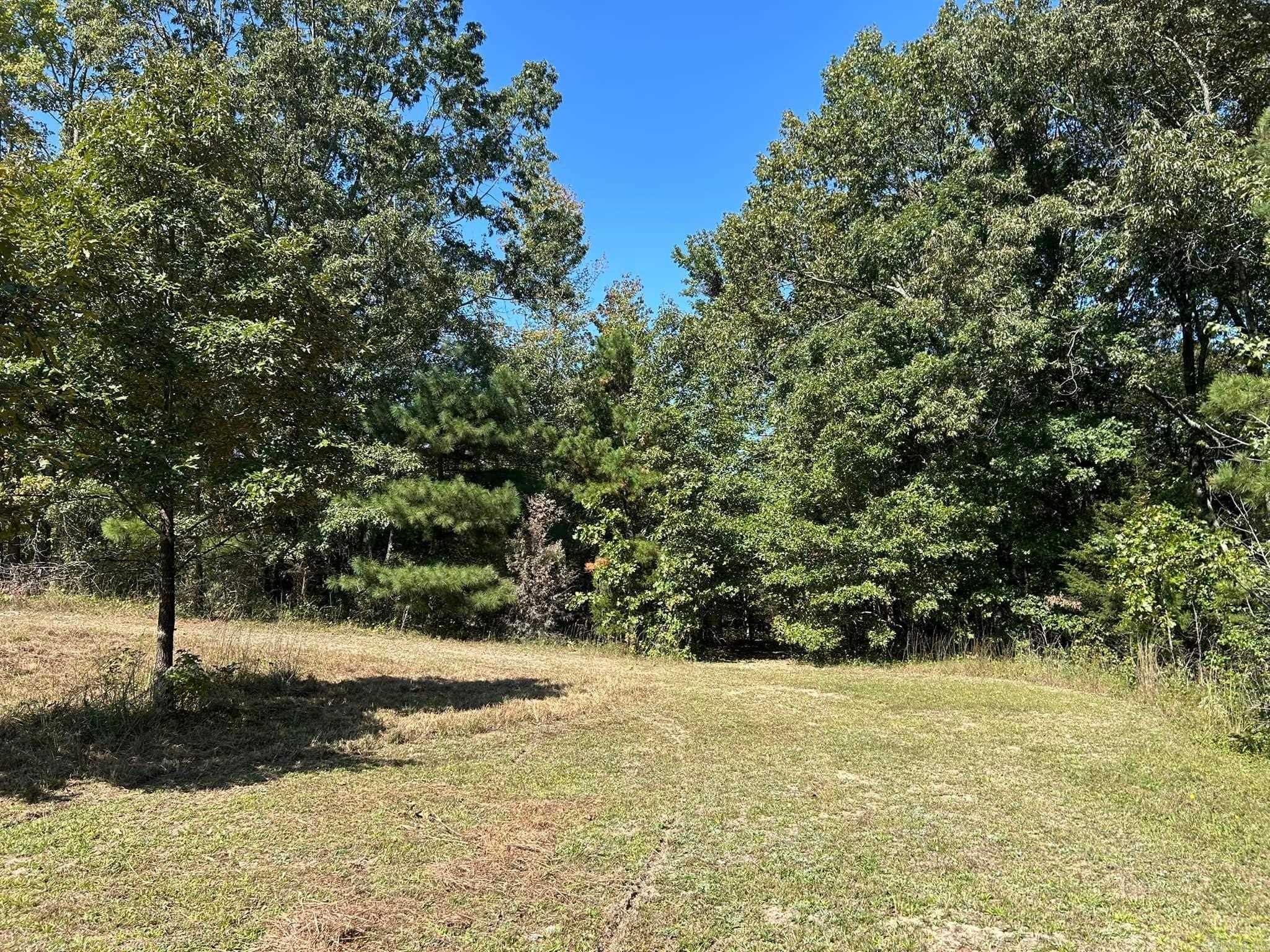 444 W Pleasant Springs  Quitman, AR