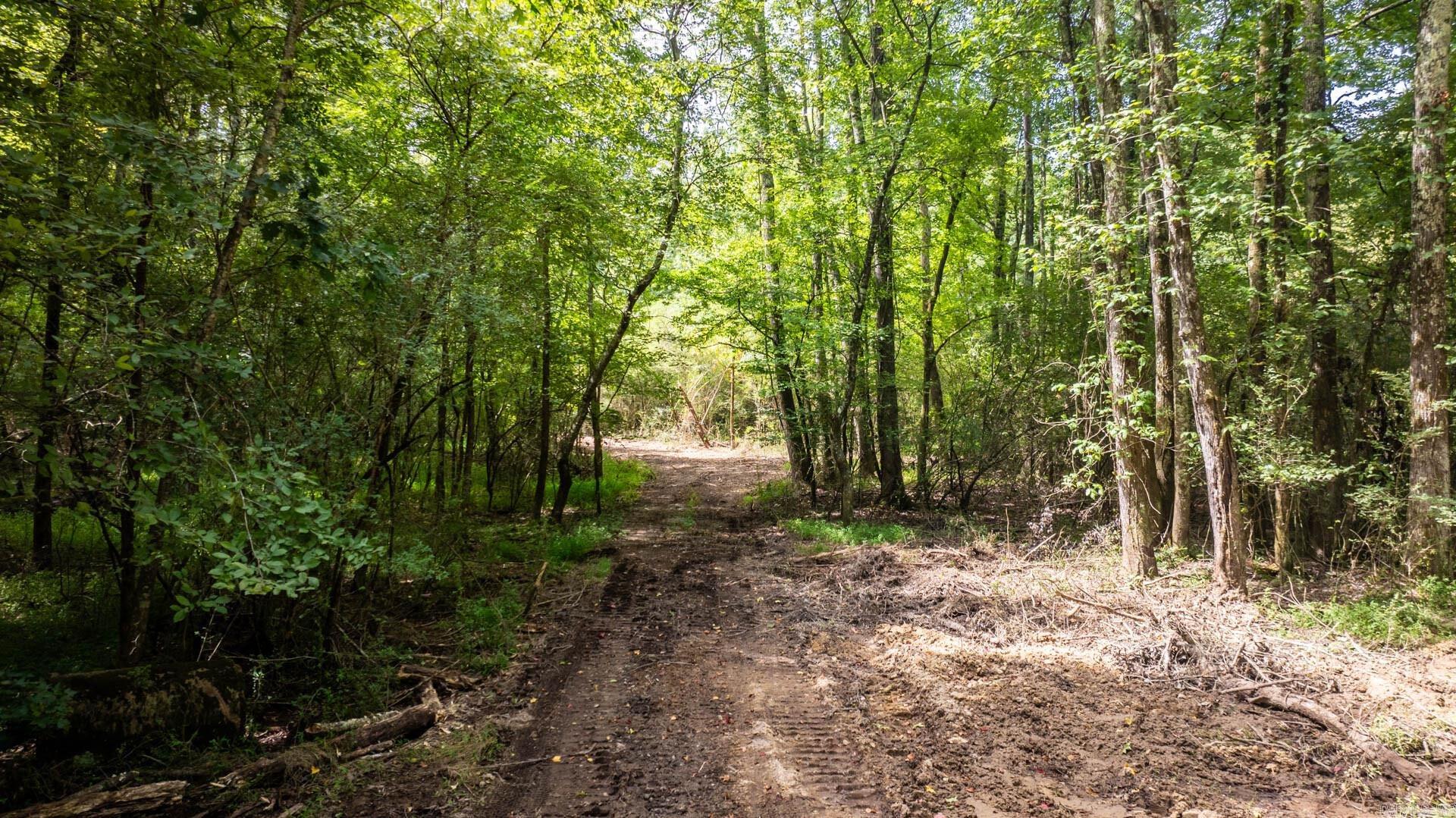 14524  Lawson  Little Rock, AR