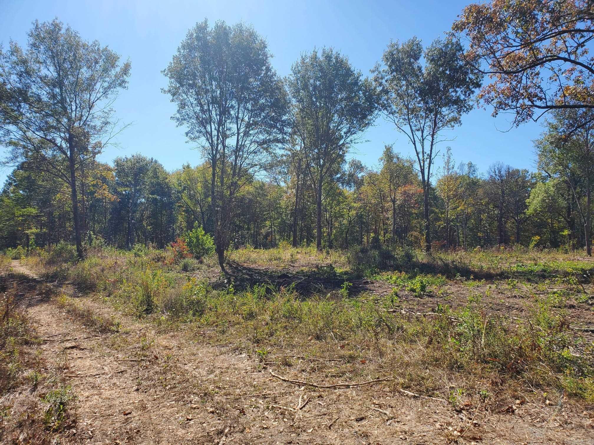 Unk  Hwy 8 E  Mena, AR