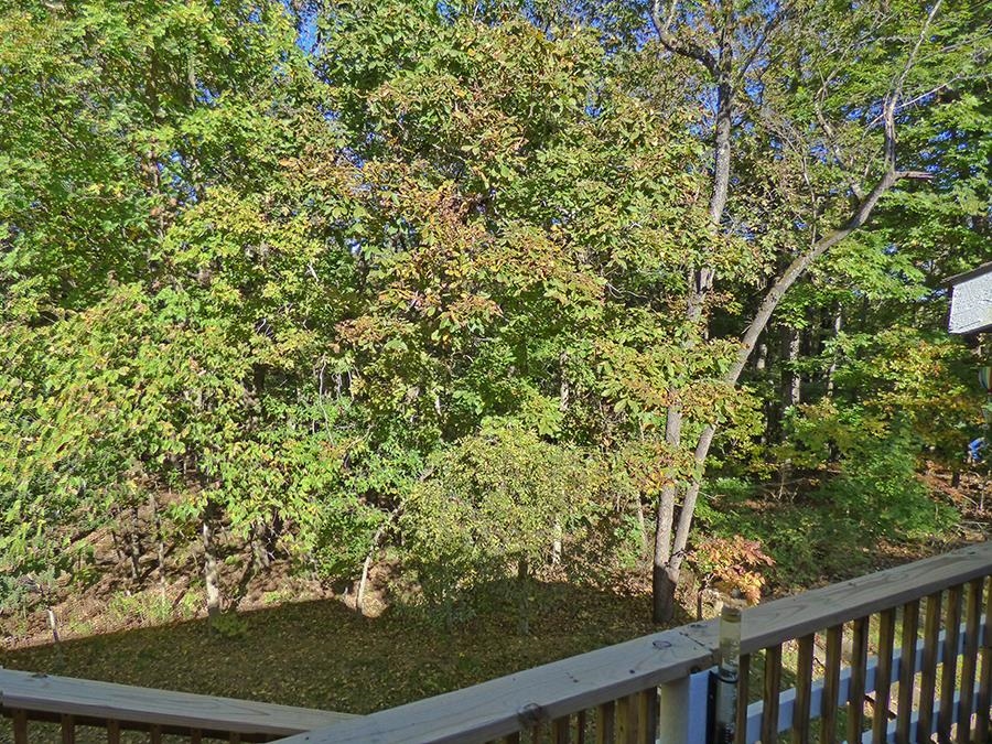 28  Spring River  Cherokee Village, AR