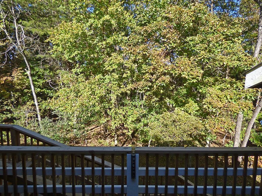 28  Spring River  Cherokee Village, AR