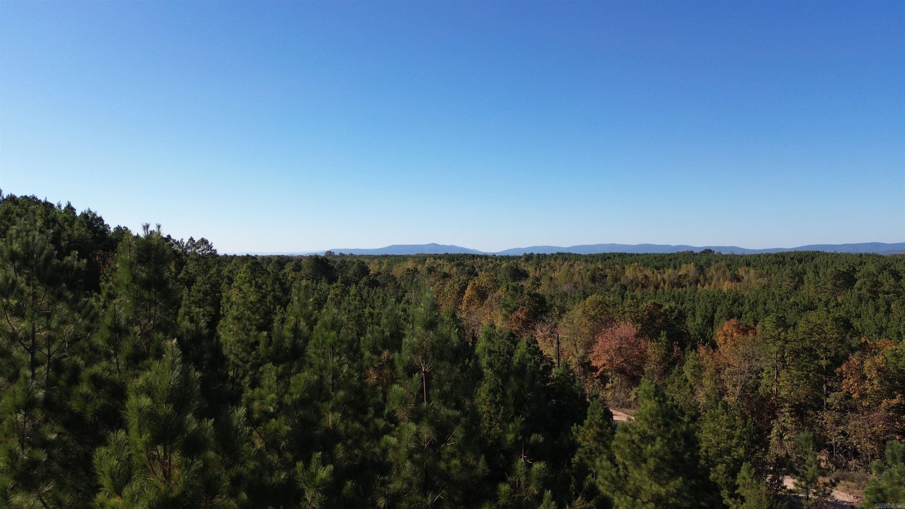 Lot 9  Polk Road 617  Mena, AR