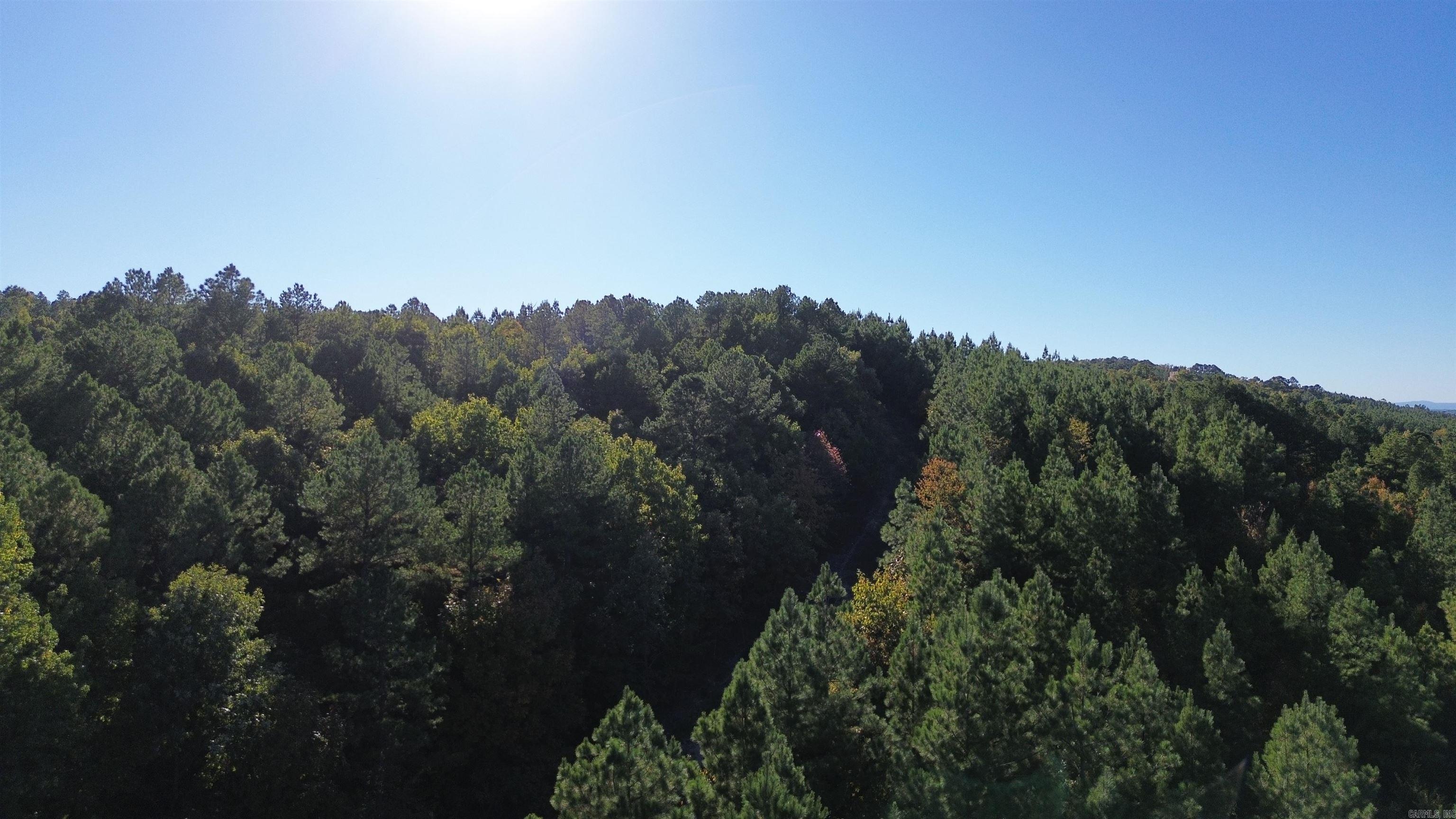 Lot 9  Polk Road 617  Mena, AR