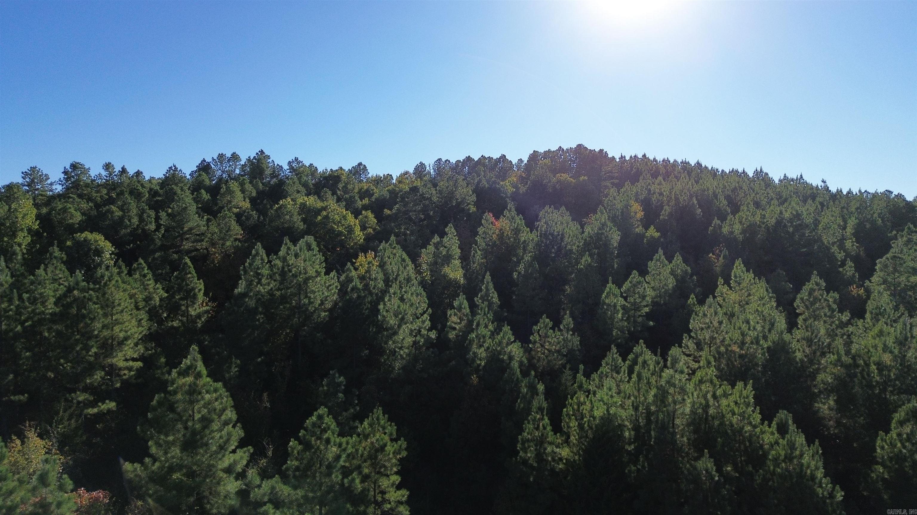Lot 9  Polk Road 617  Mena, AR