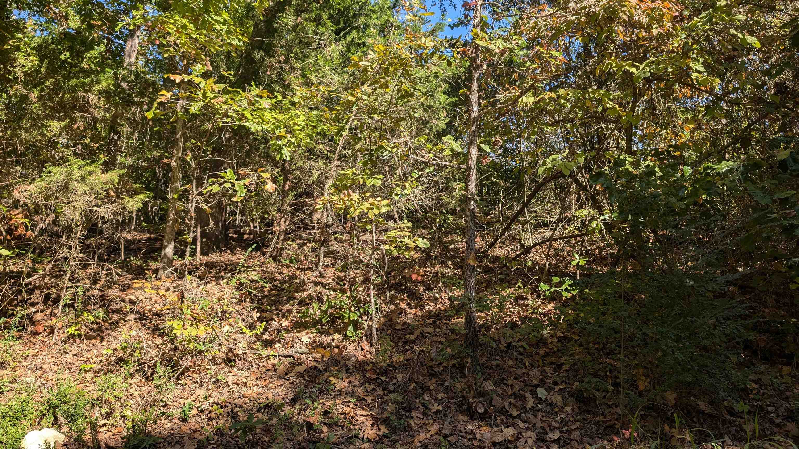   62 412 bittersweet drive Highland, AR