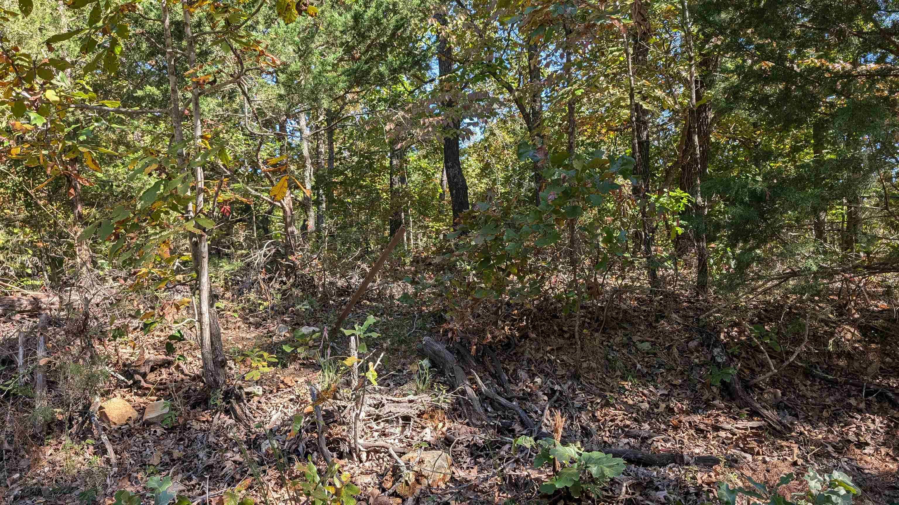   62 412 bittersweet drive Highland, AR