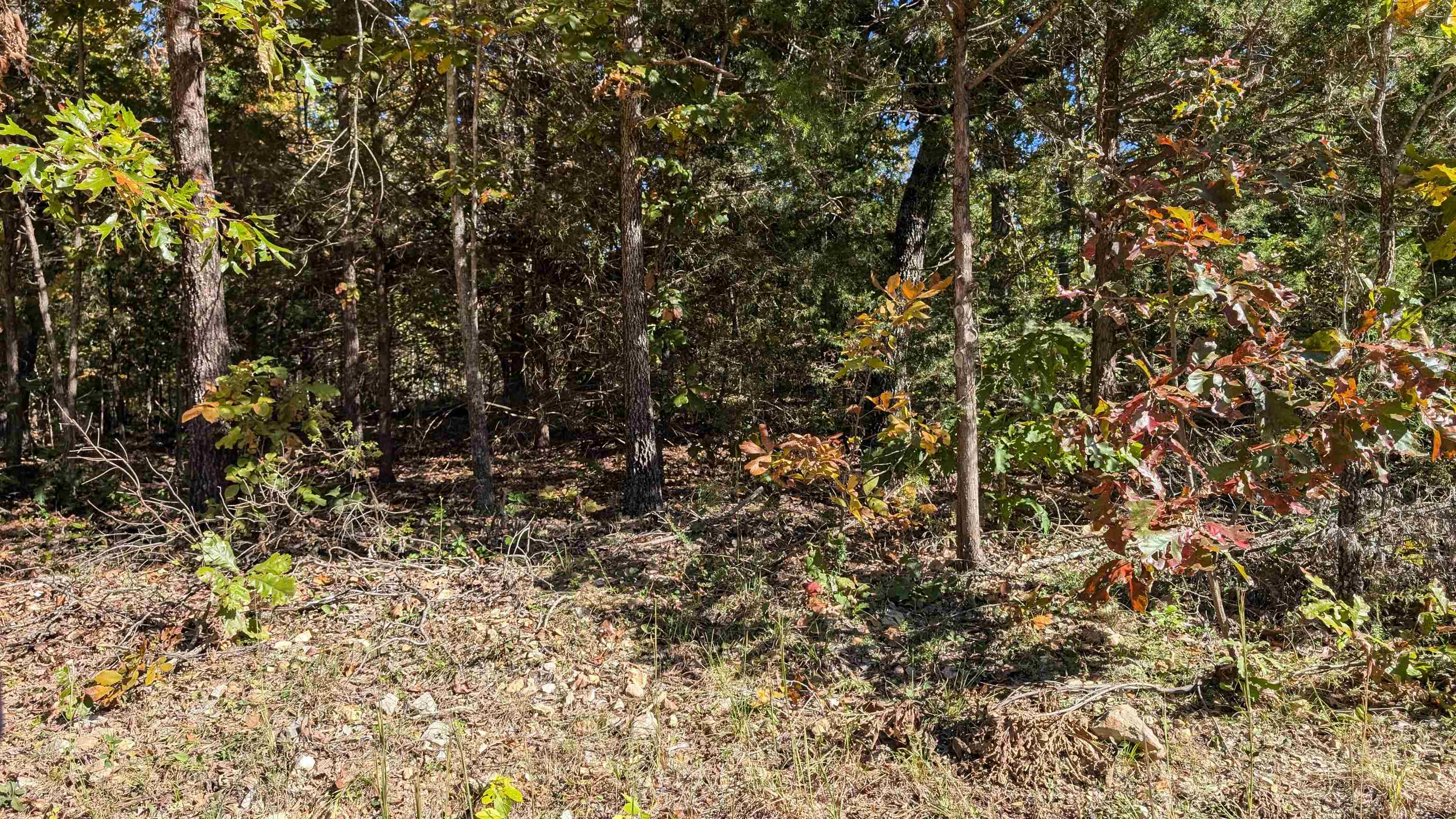   62 412 bittersweet drive Highland, AR