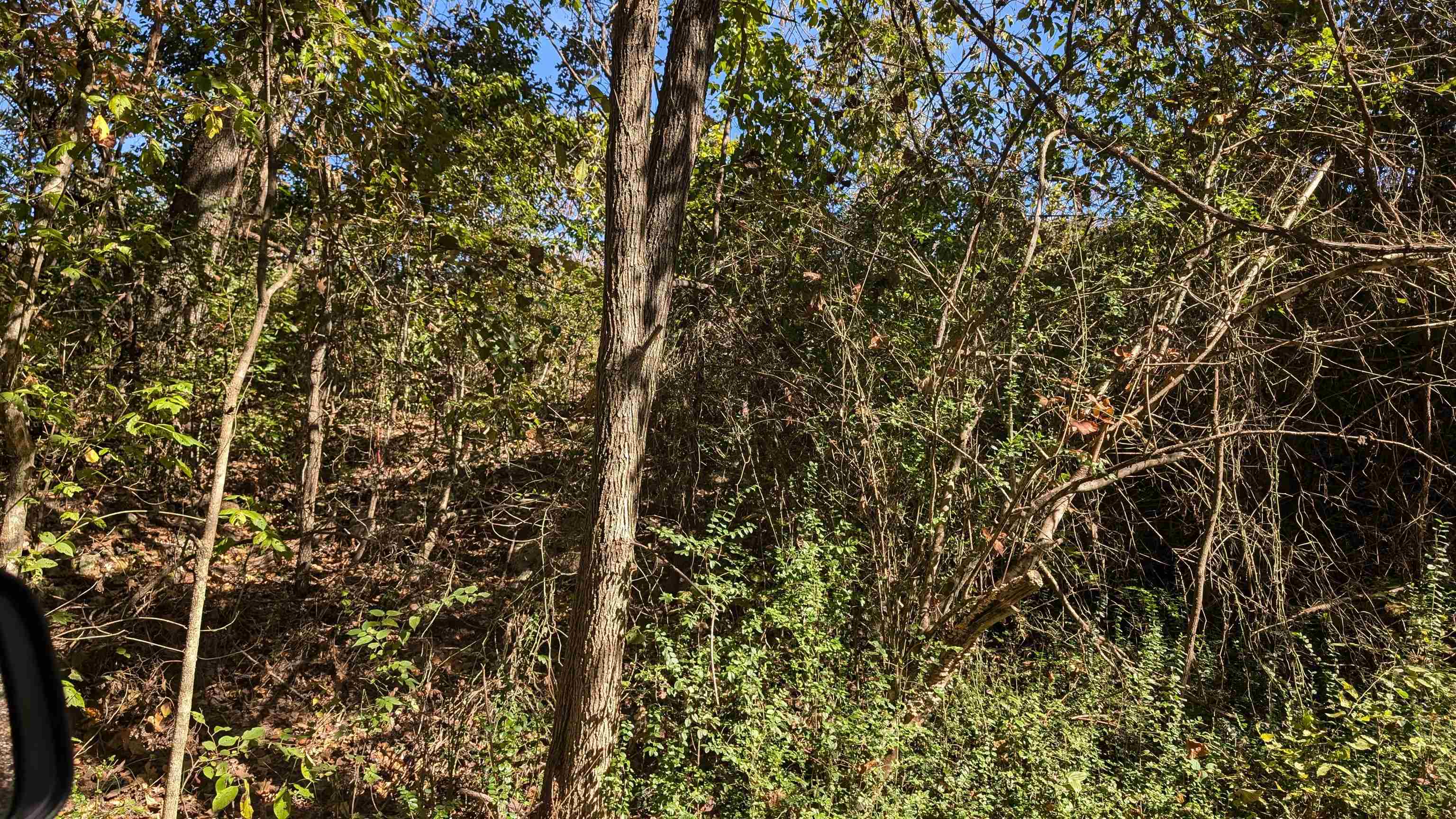   62 412 bittersweet drive Highland, AR