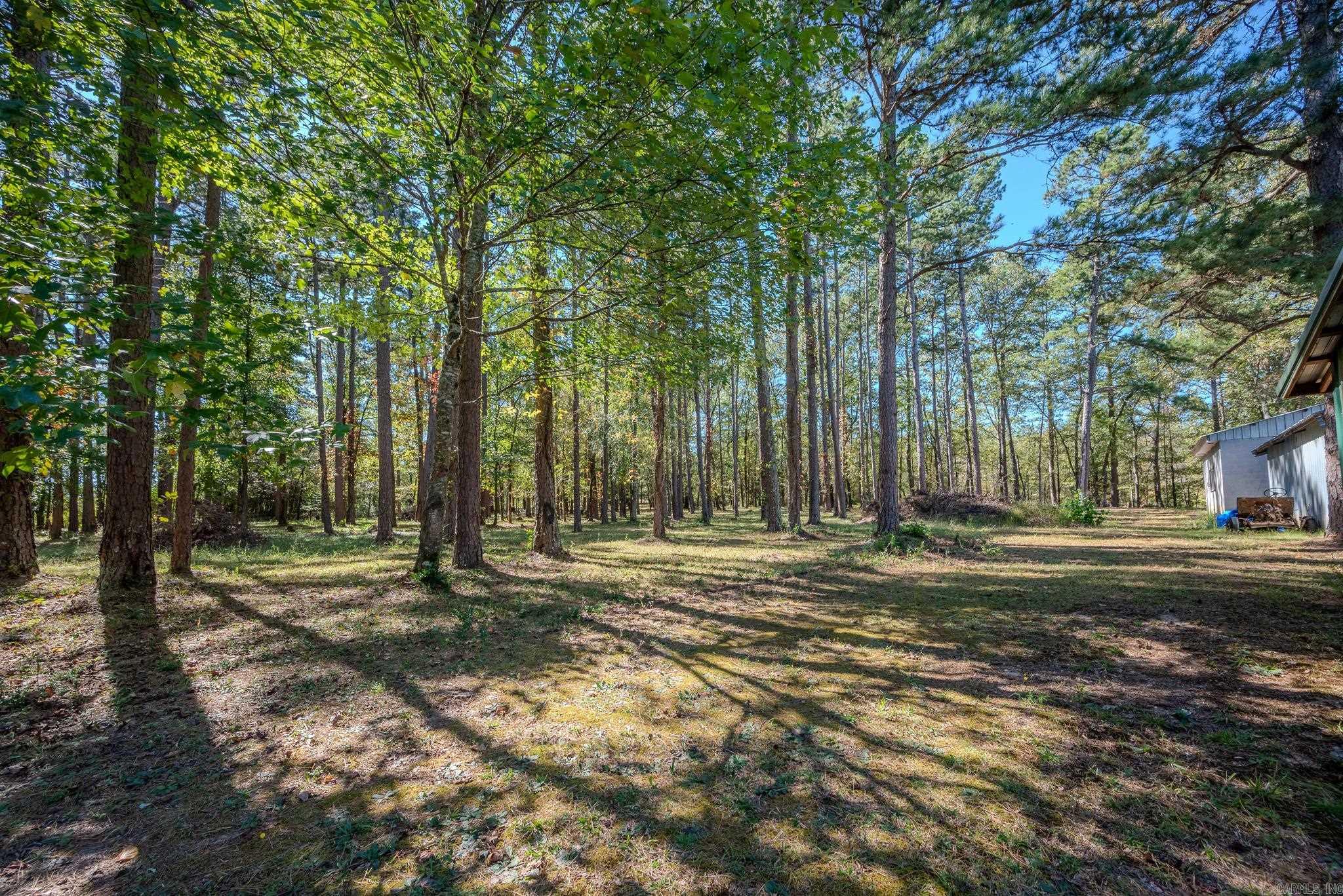 106  Elk Drive  Mena, AR