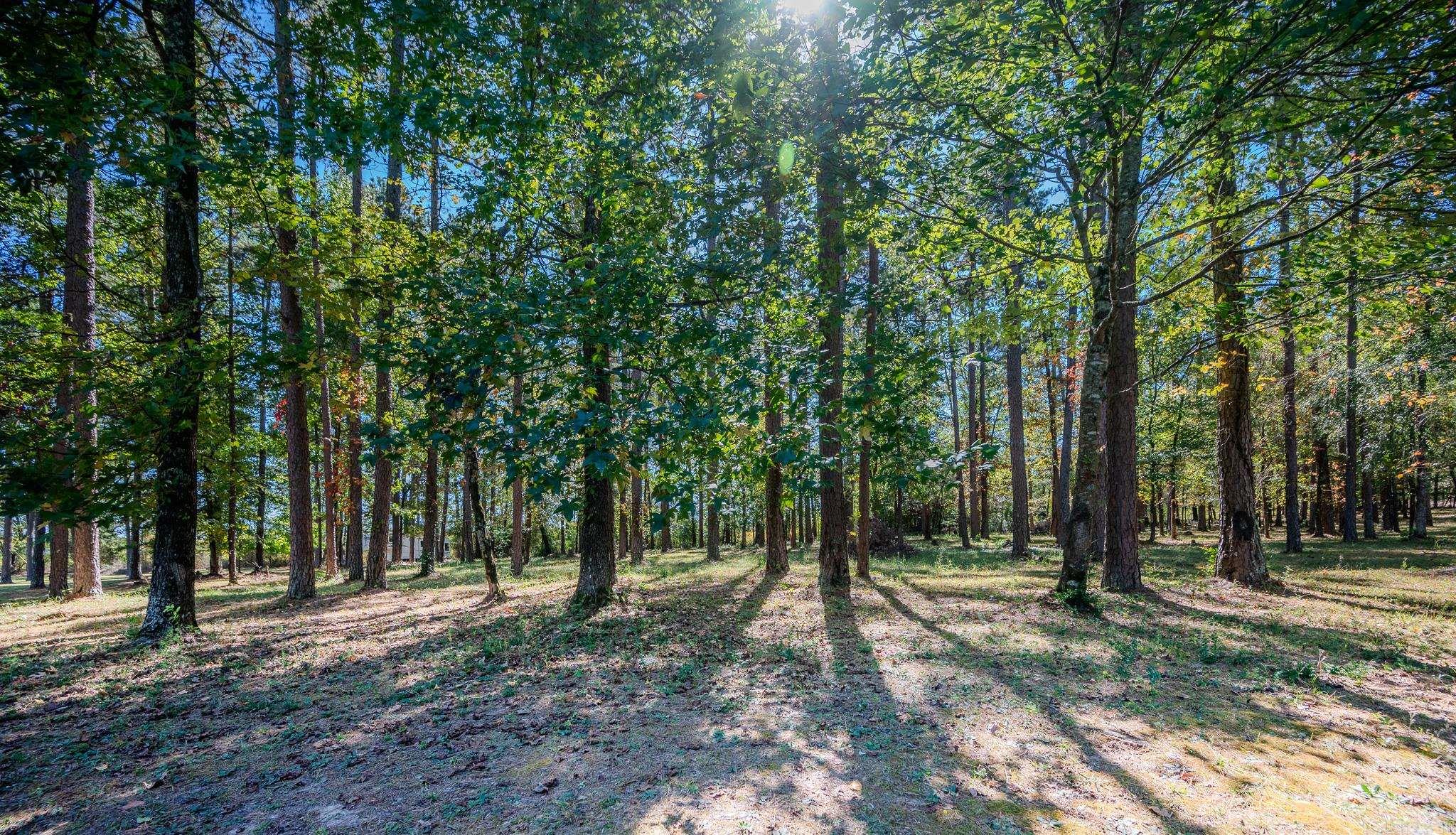 106  Elk Drive  Mena, AR