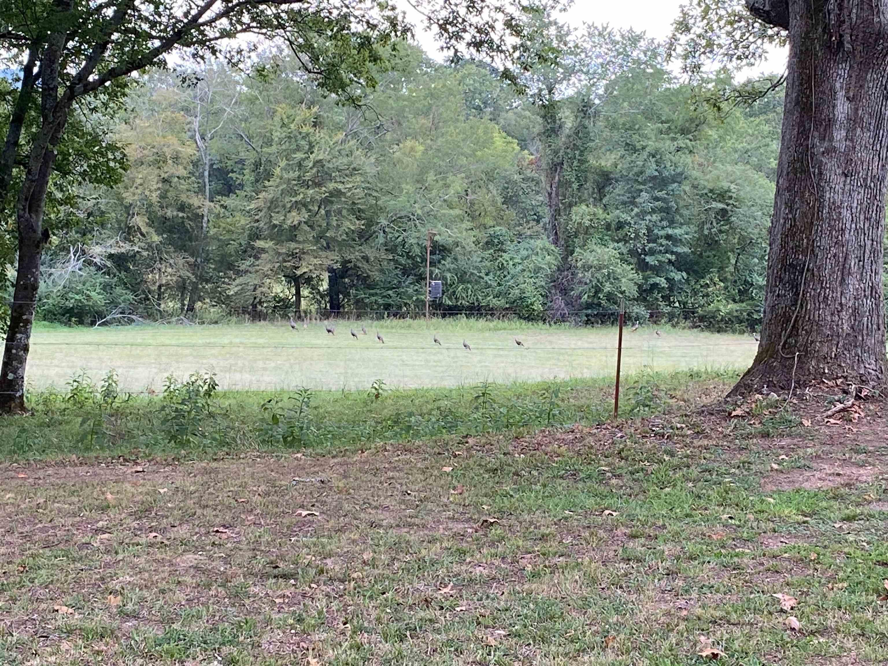 1065 Polk Rd 67 Mena, AR 71953-9998
