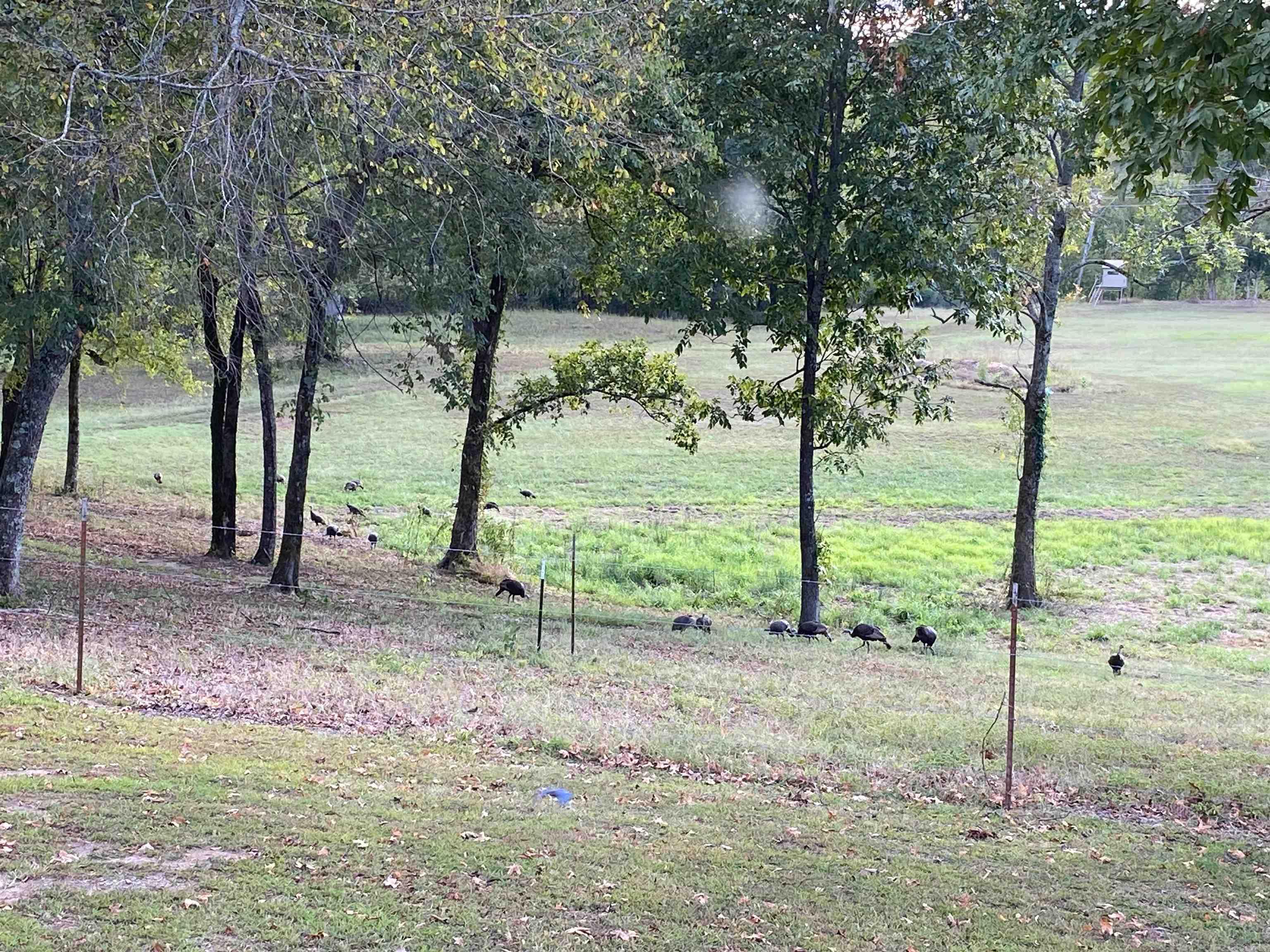 1065 Polk Rd 67 Mena, AR 71953-9998