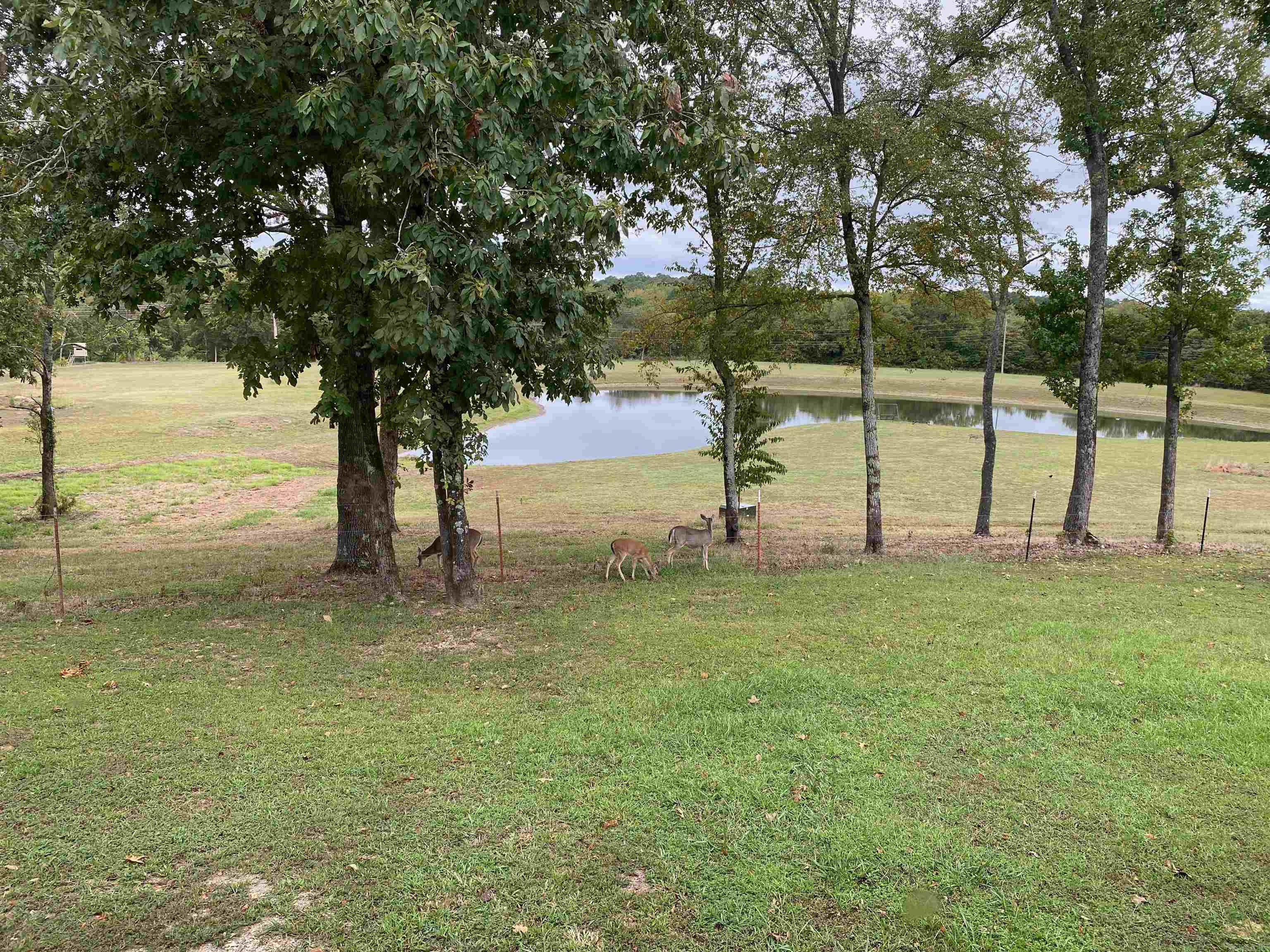 1065 Polk Rd 67 Mena, AR 71953-9998