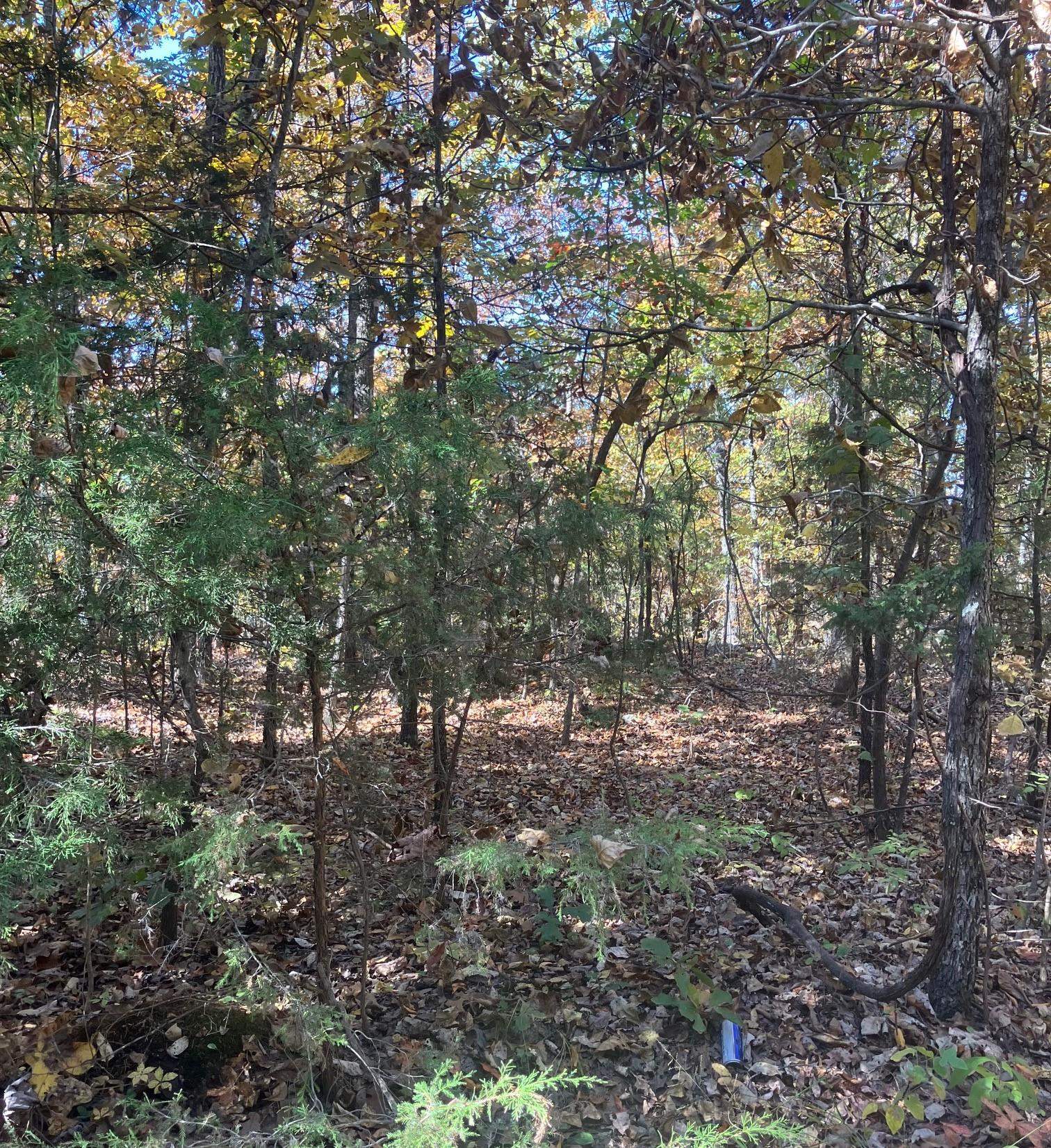 TBD  Pinecrest Road  Hardy, AR