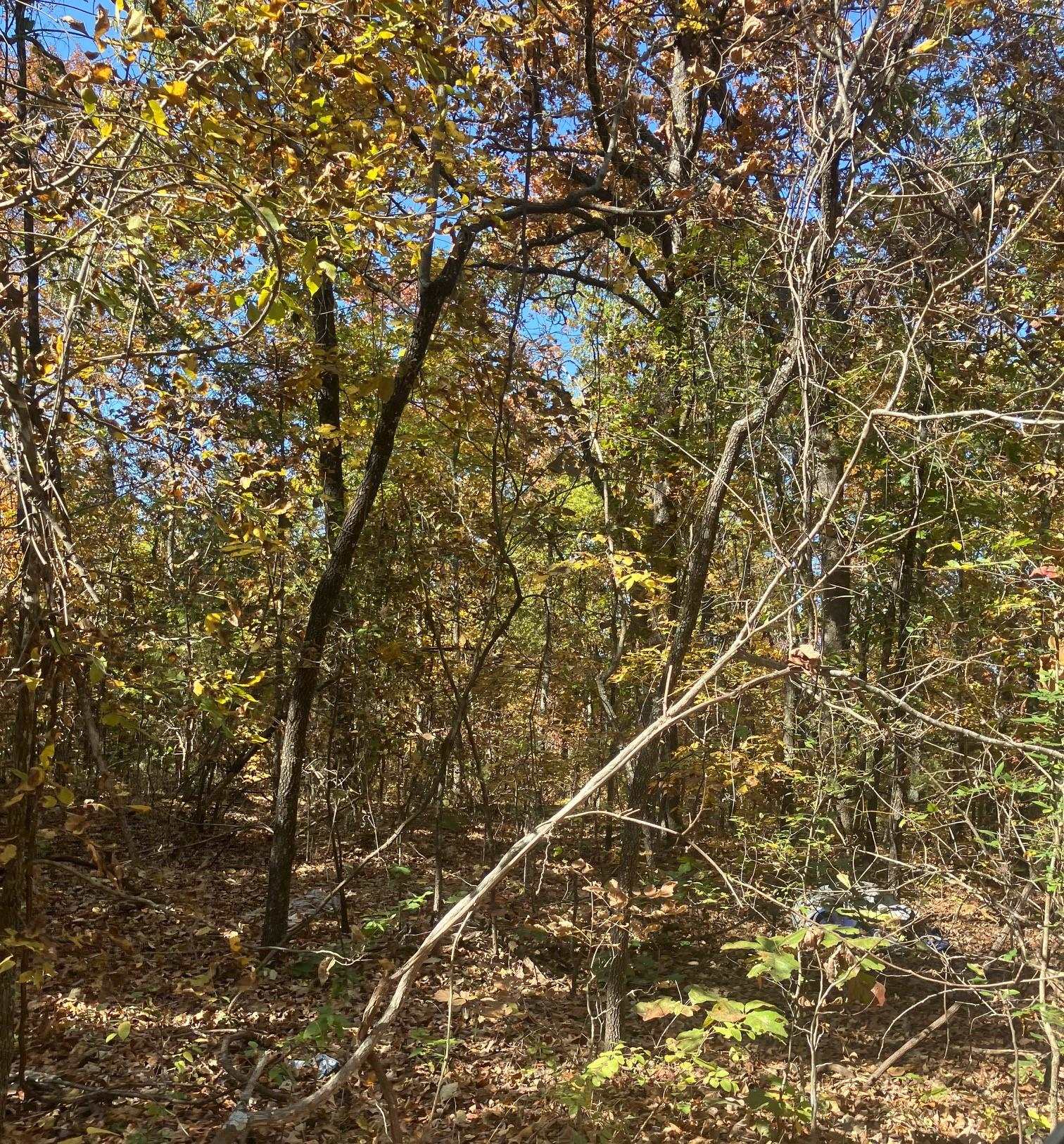 TBD  Pinecrest Road  Hardy, AR