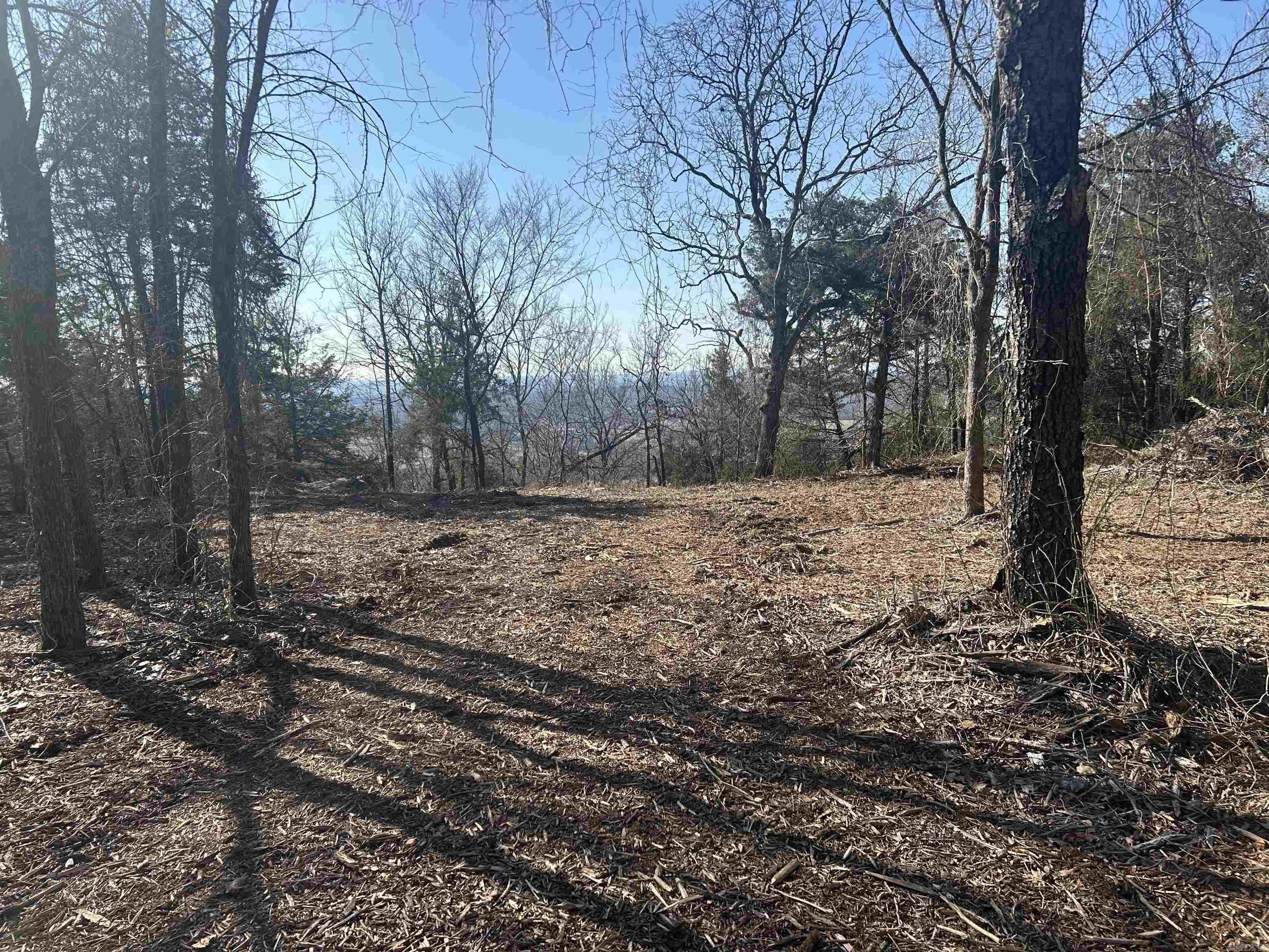 536  Leonard Lane  Pottsville, AR