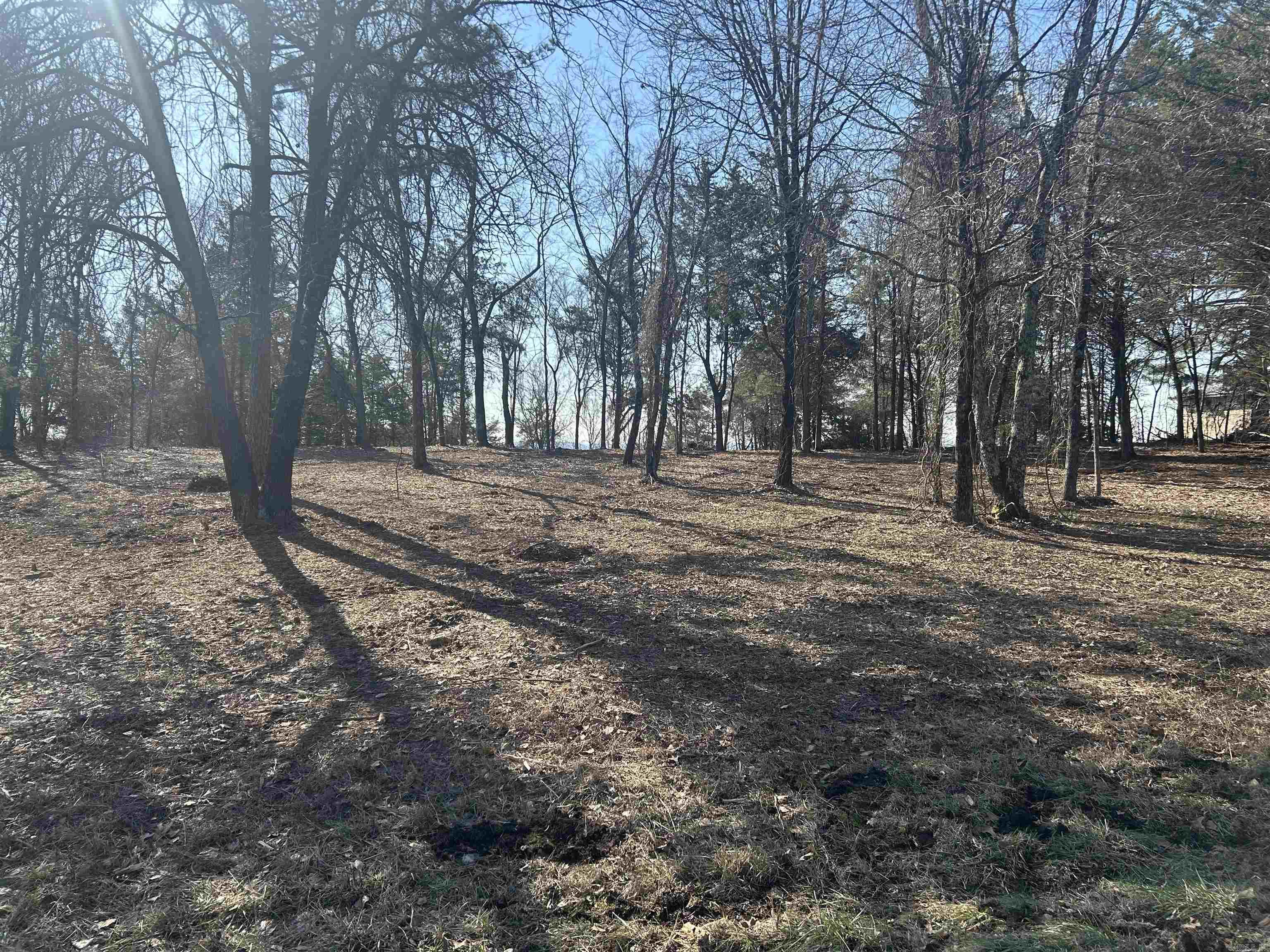 536  Leonard Lane  Pottsville, AR