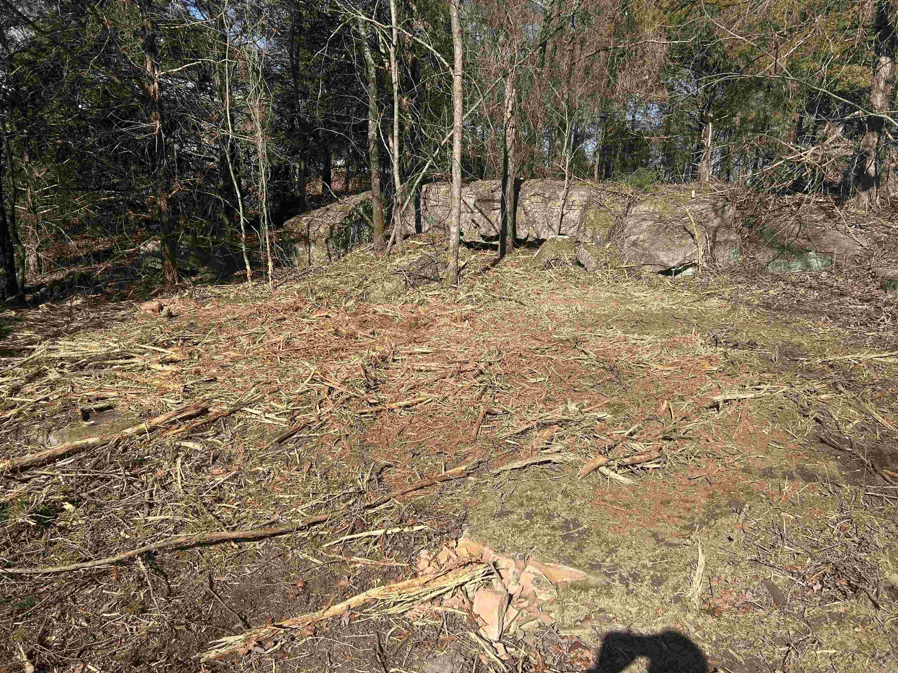 536  Leonard Lane  Pottsville, AR
