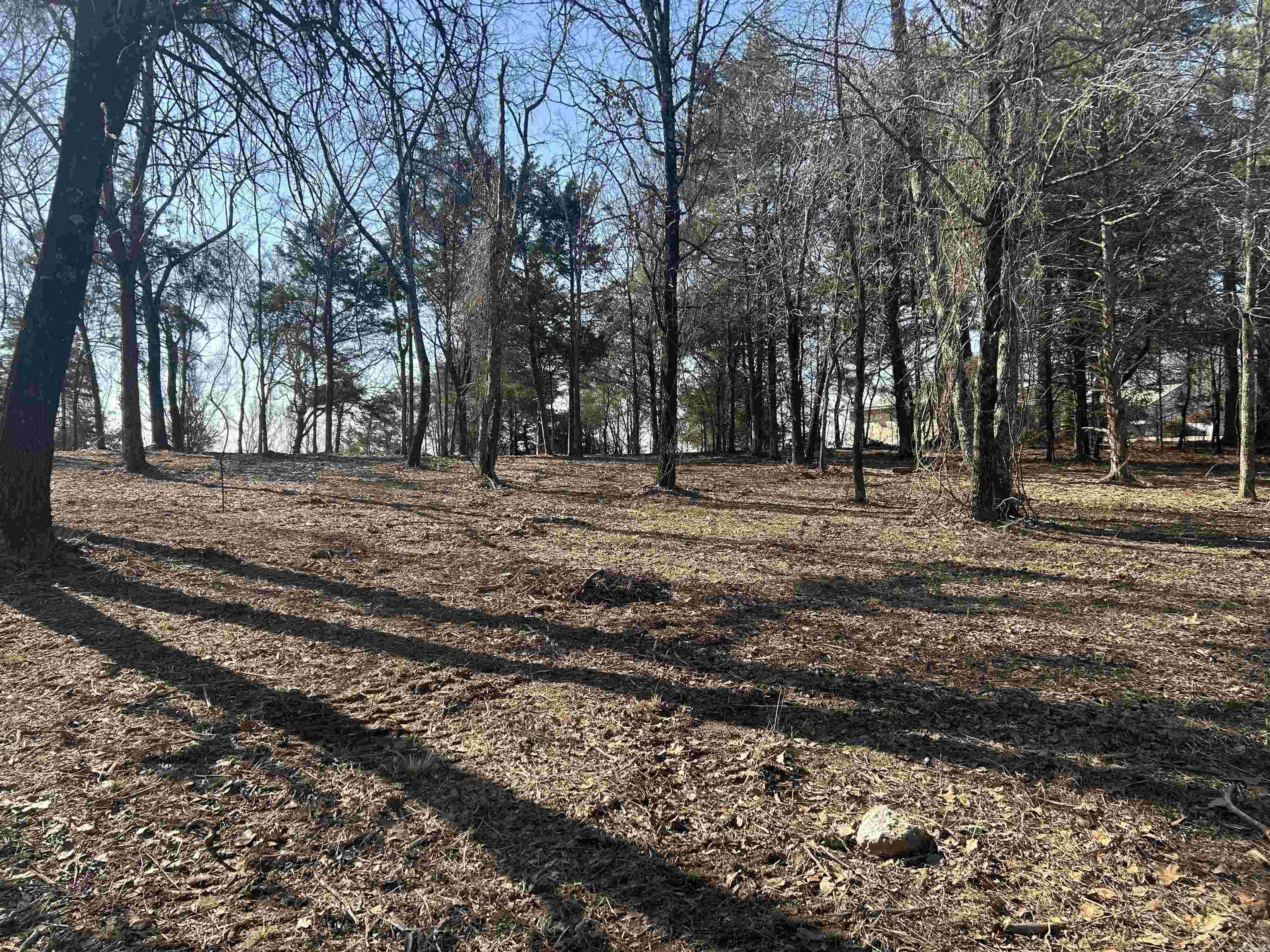 536  Leonard Lane  Pottsville, AR