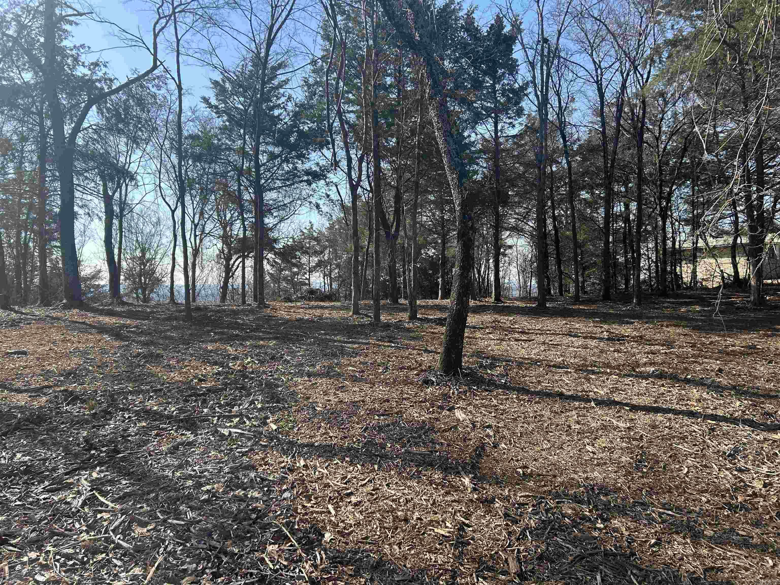 536  Leonard Lane  Pottsville, AR