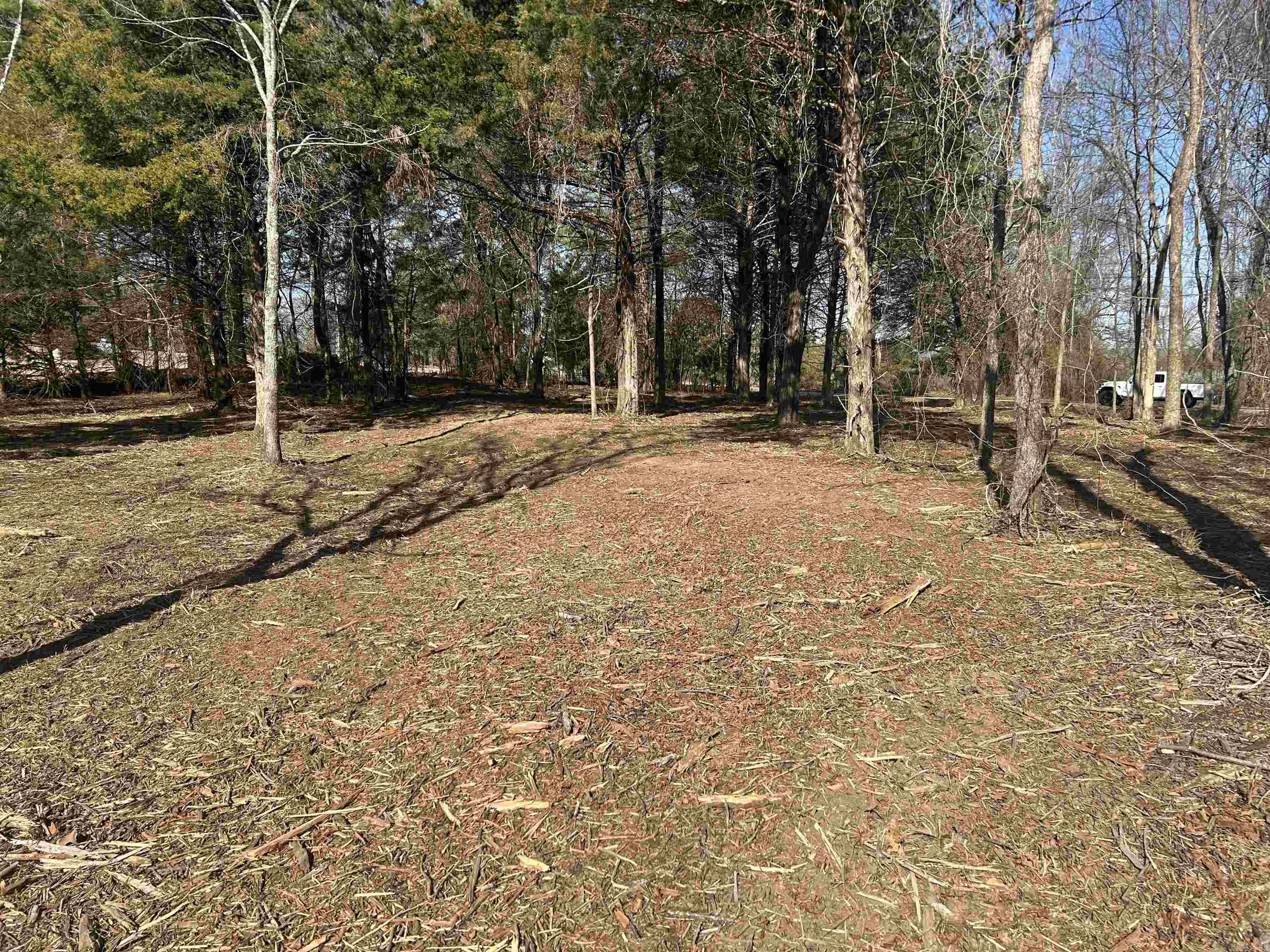 536  Leonard Lane  Pottsville, AR