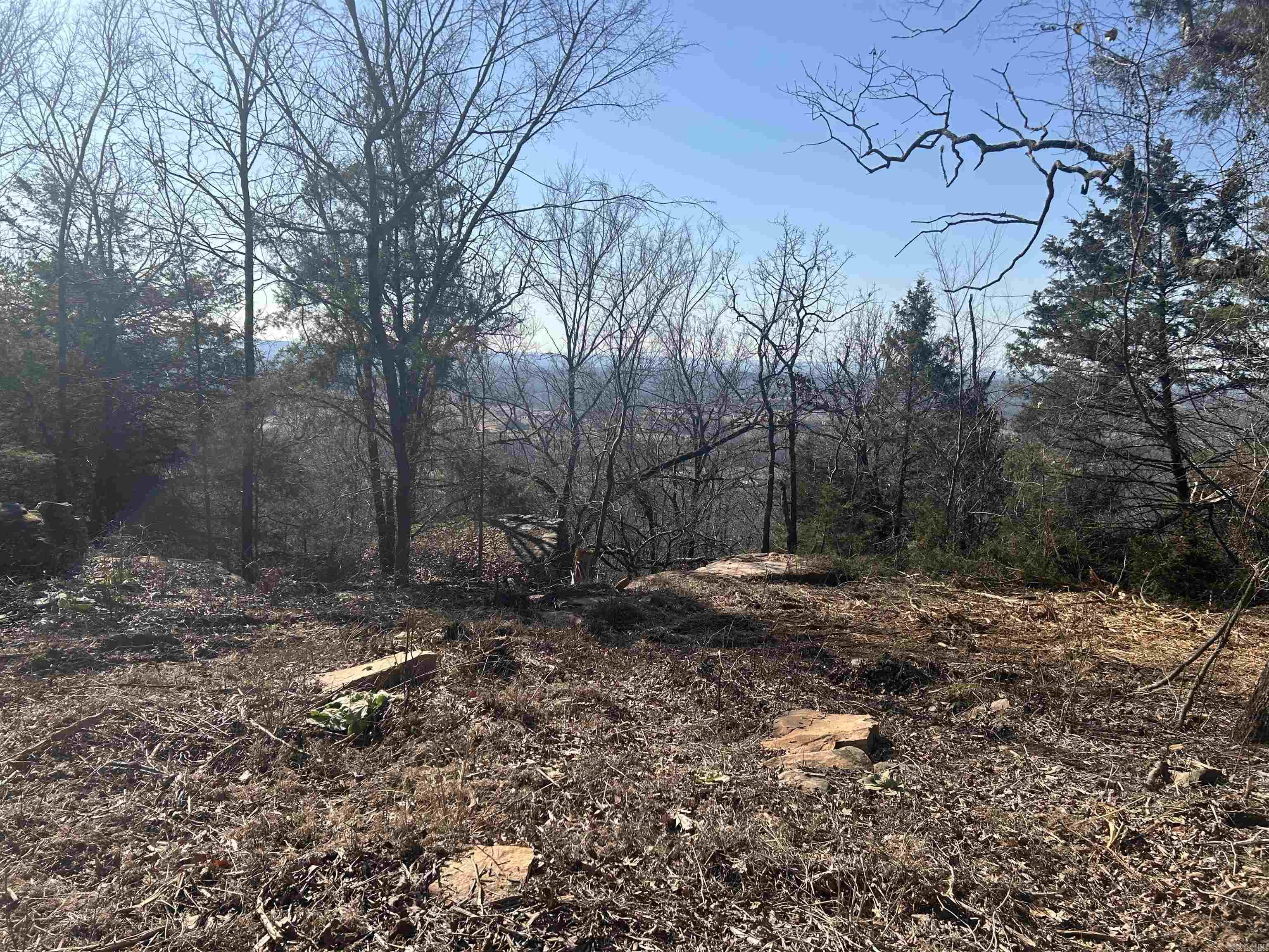 536  Leonard Lane  Pottsville, AR